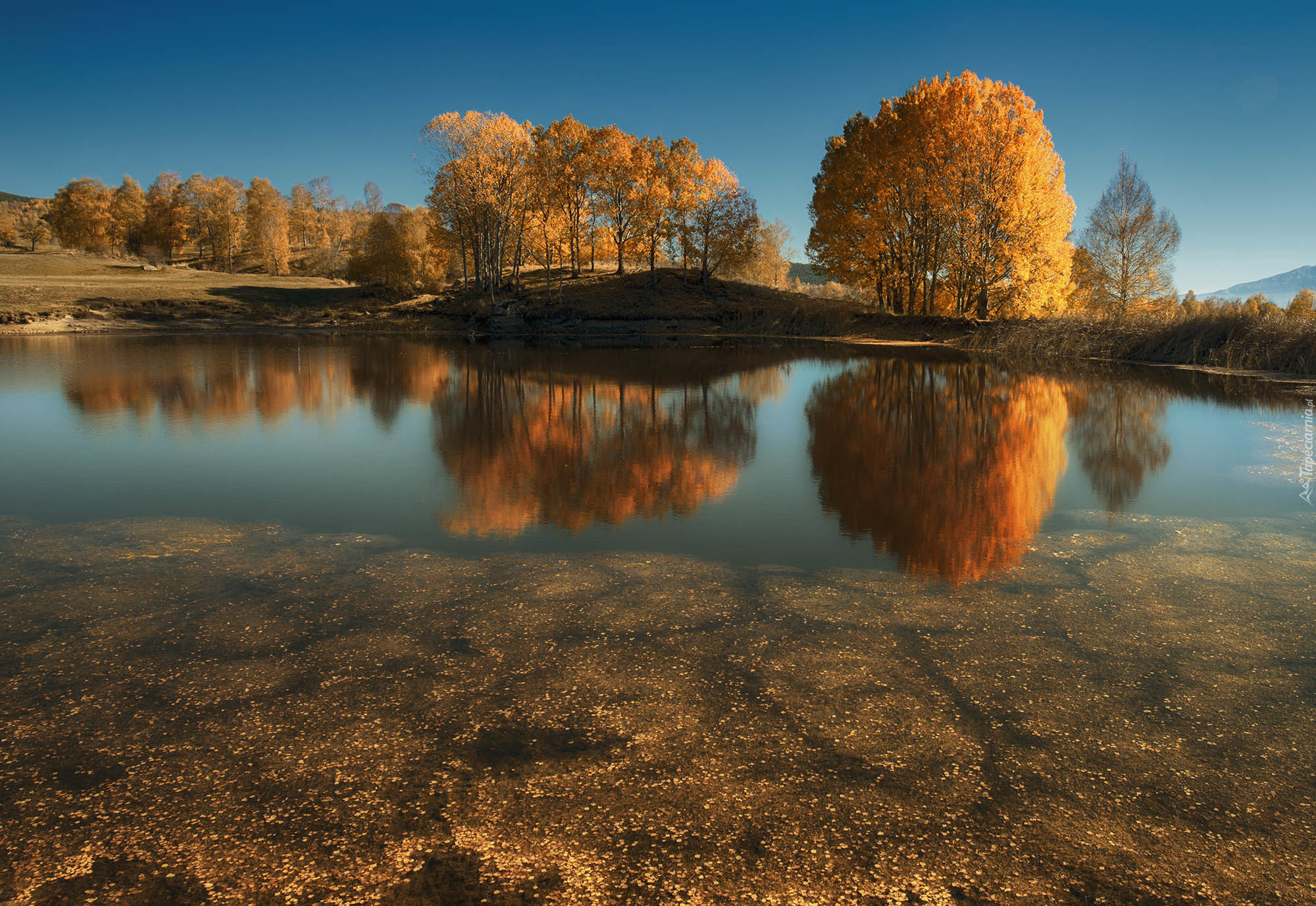 Jesień, Jezioro, Las, Drzewa