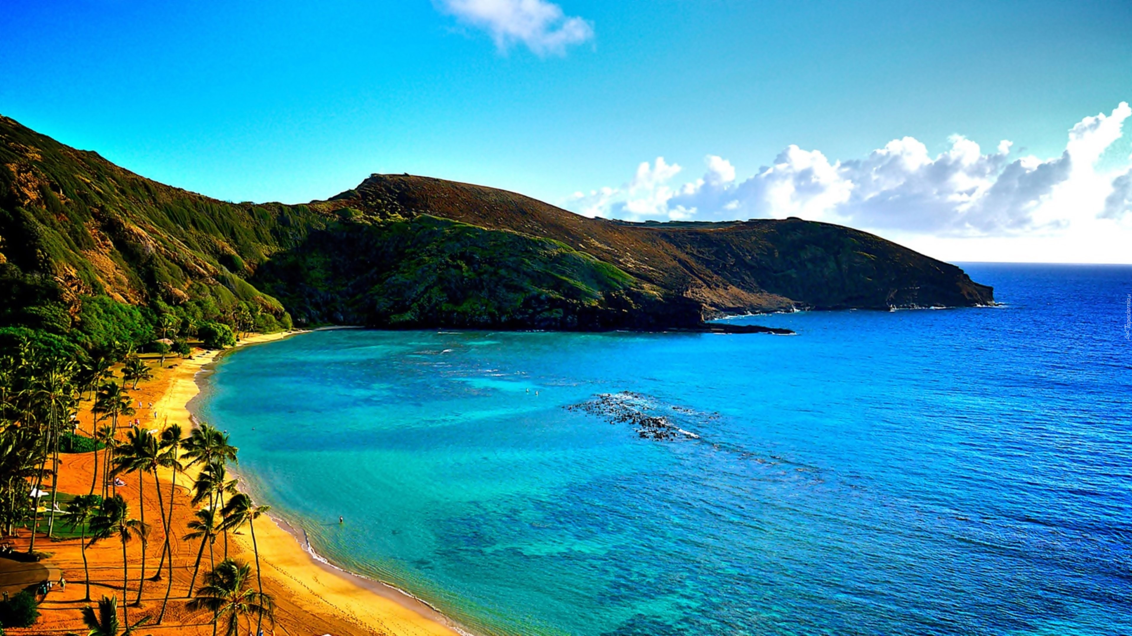 Social Trends Wyspa hawaje morze fale chmury maui palmy php