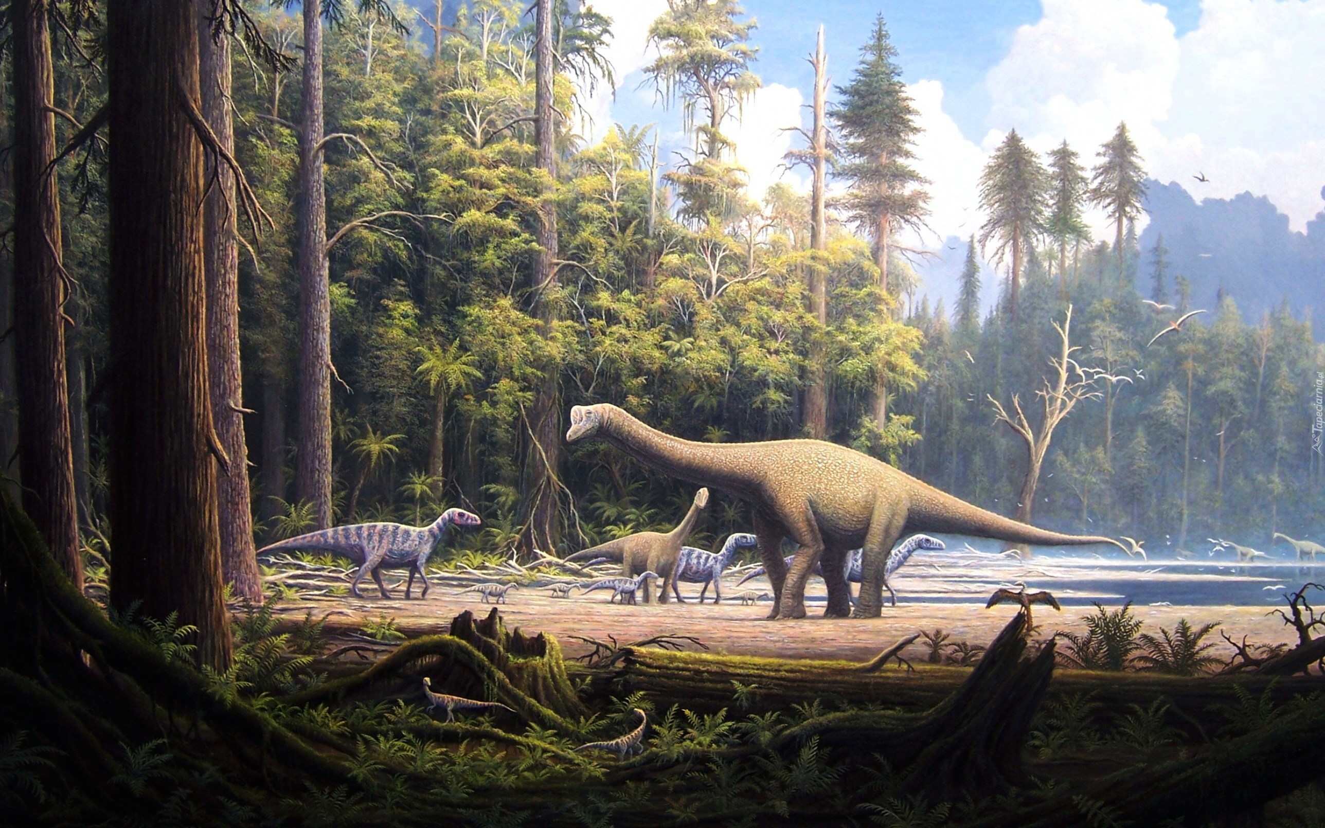 Dinozaury, Las