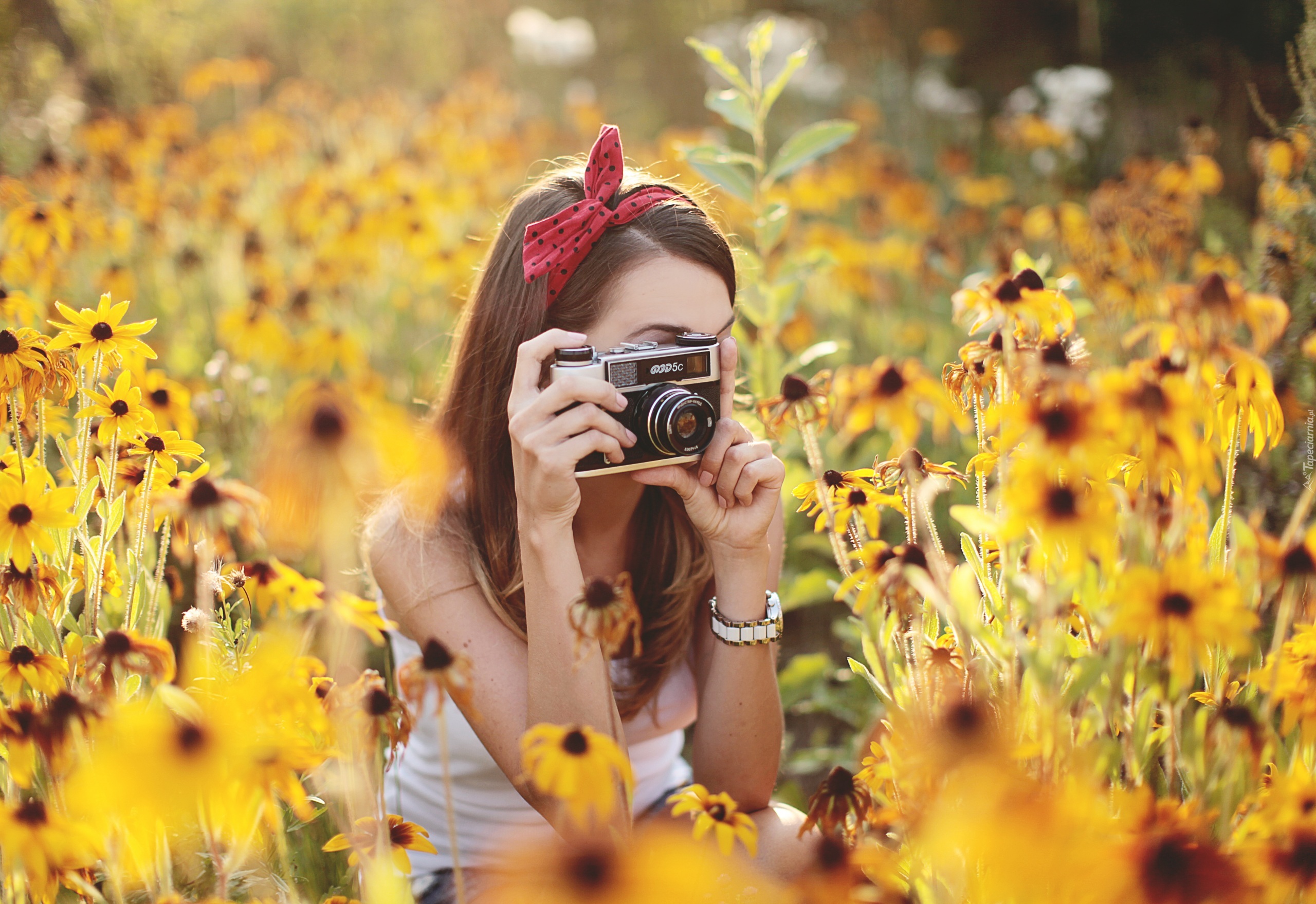 Dziewczyna, Aparat, Fotograficzny, Rudbekie, Rozmyte, Tło