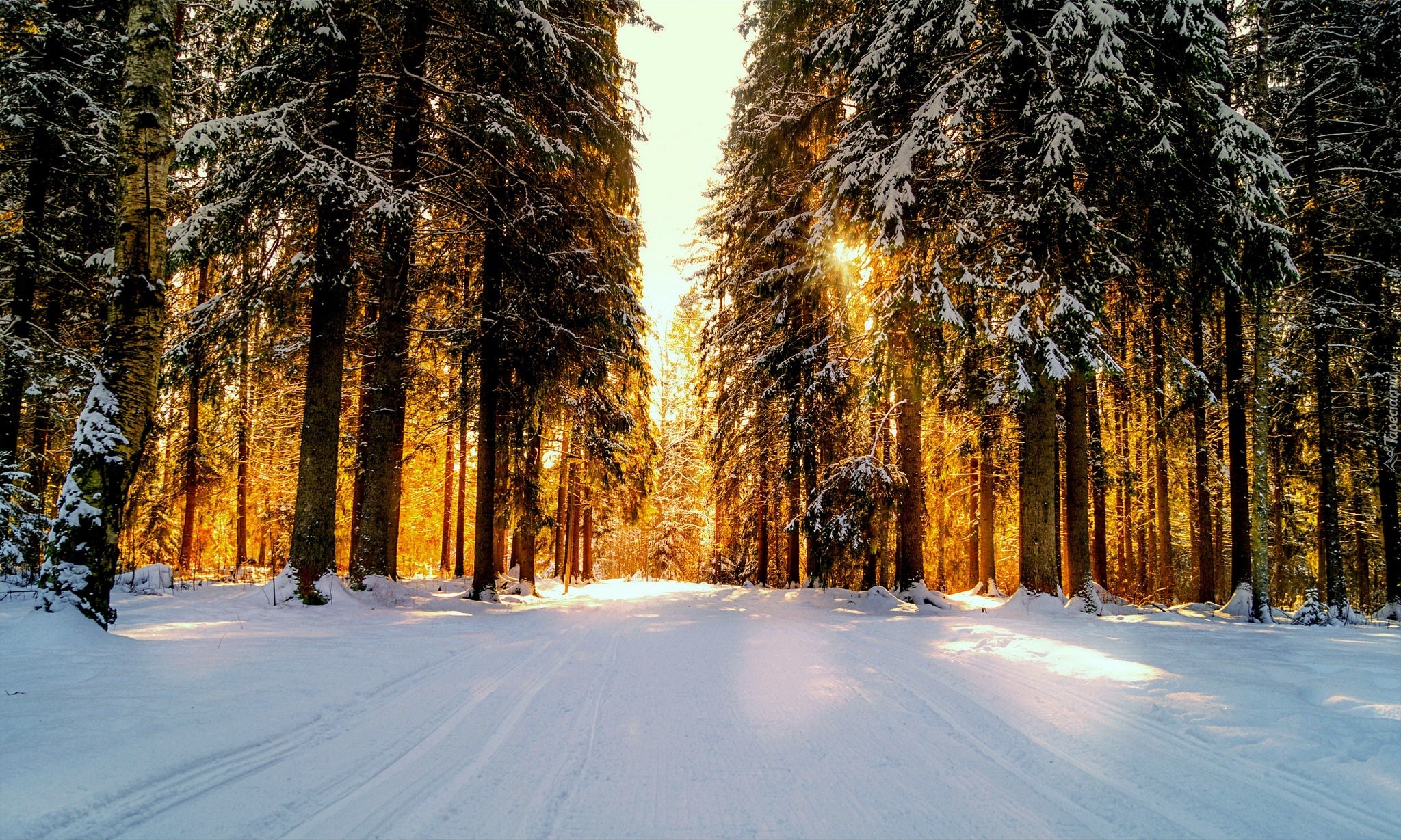 Zima, Las Droga, Przebijające światło