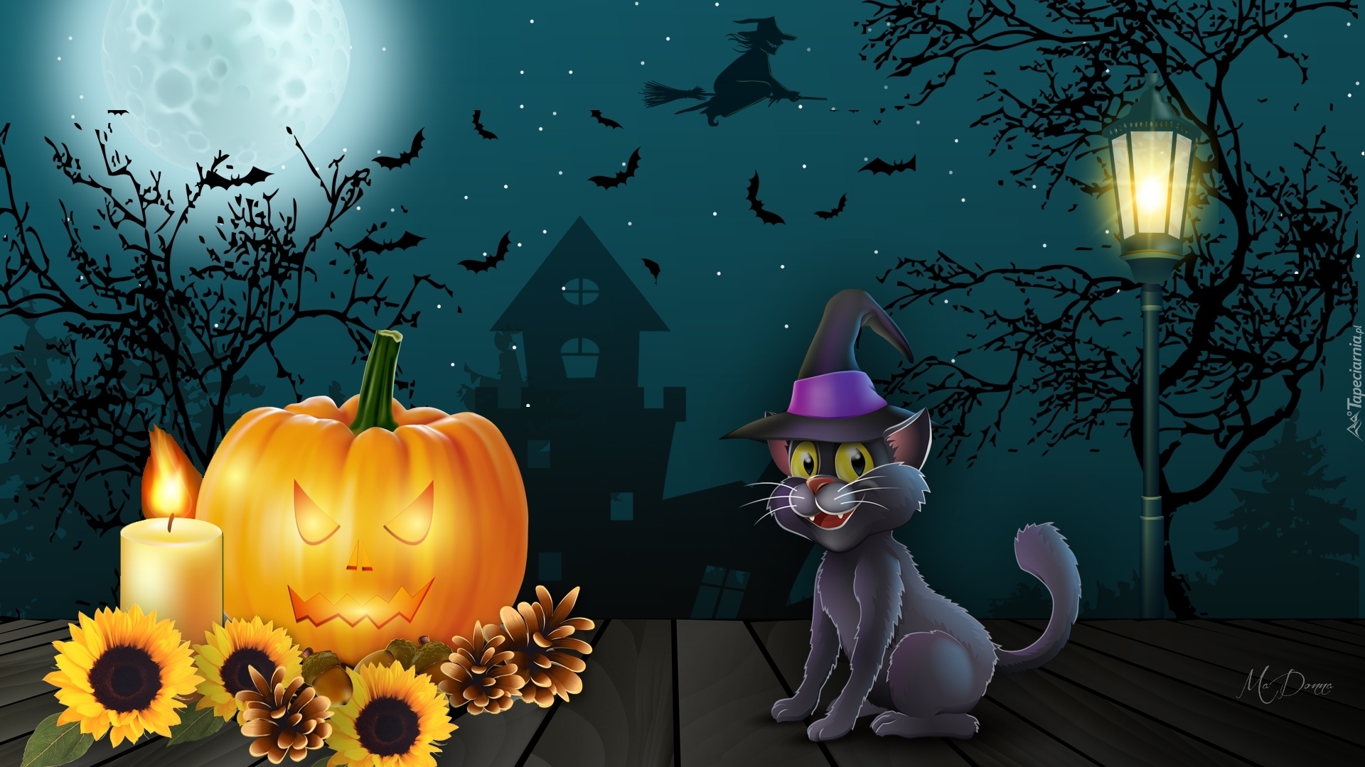 Halloween, Kot, Dynia, Latarnia