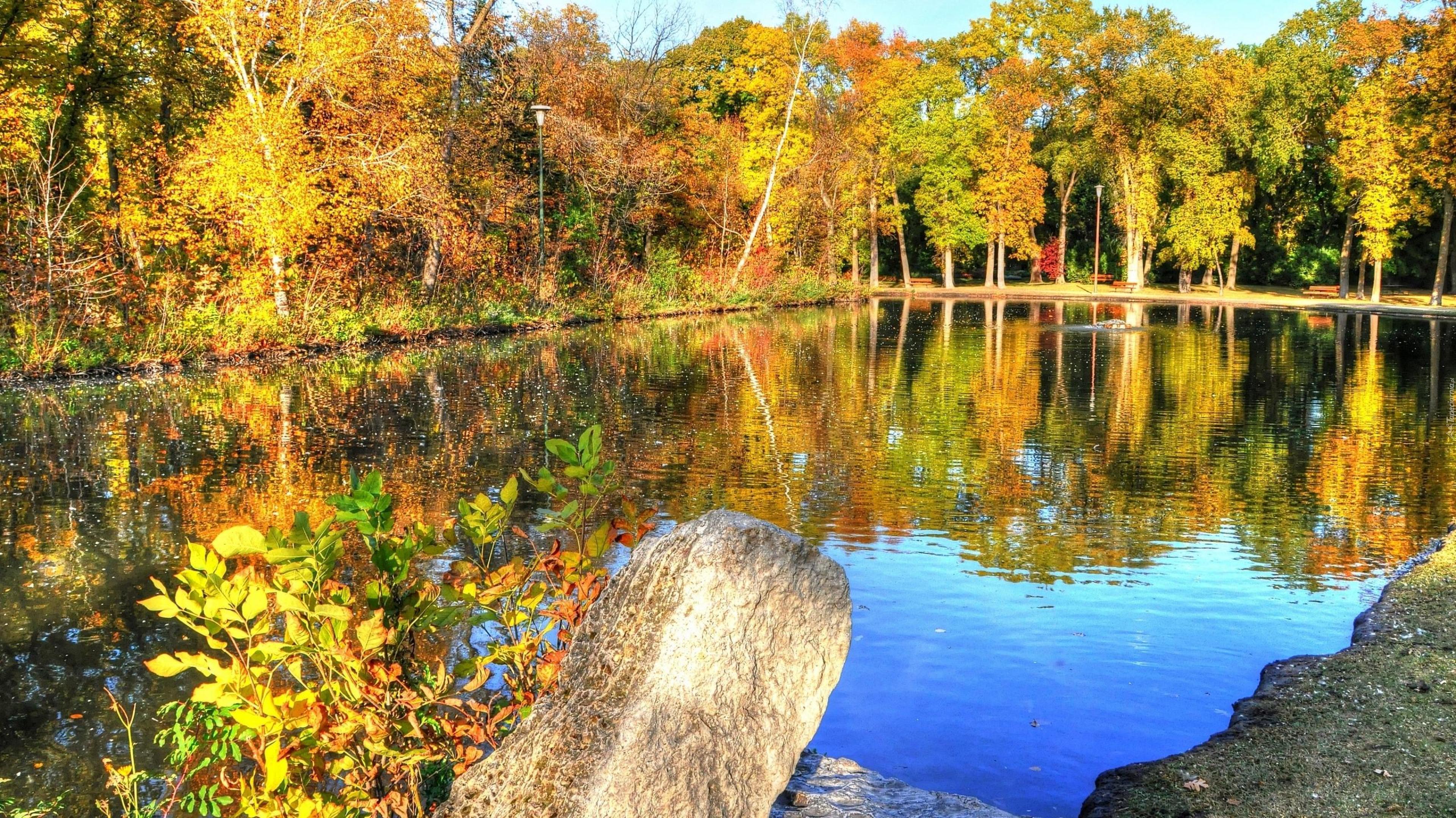 Staw, Las, Jesień, Ławki