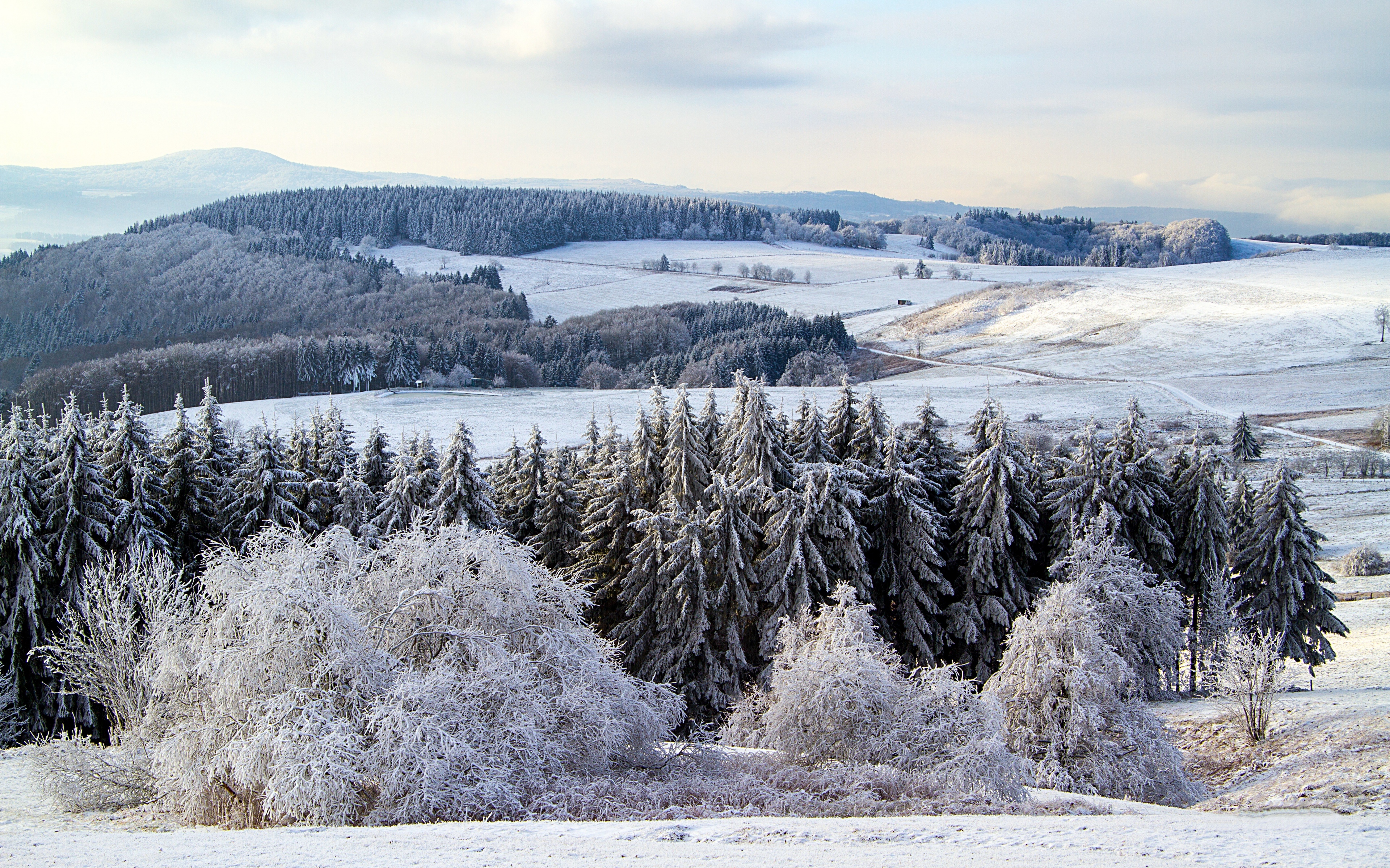 Zima, Śnieg