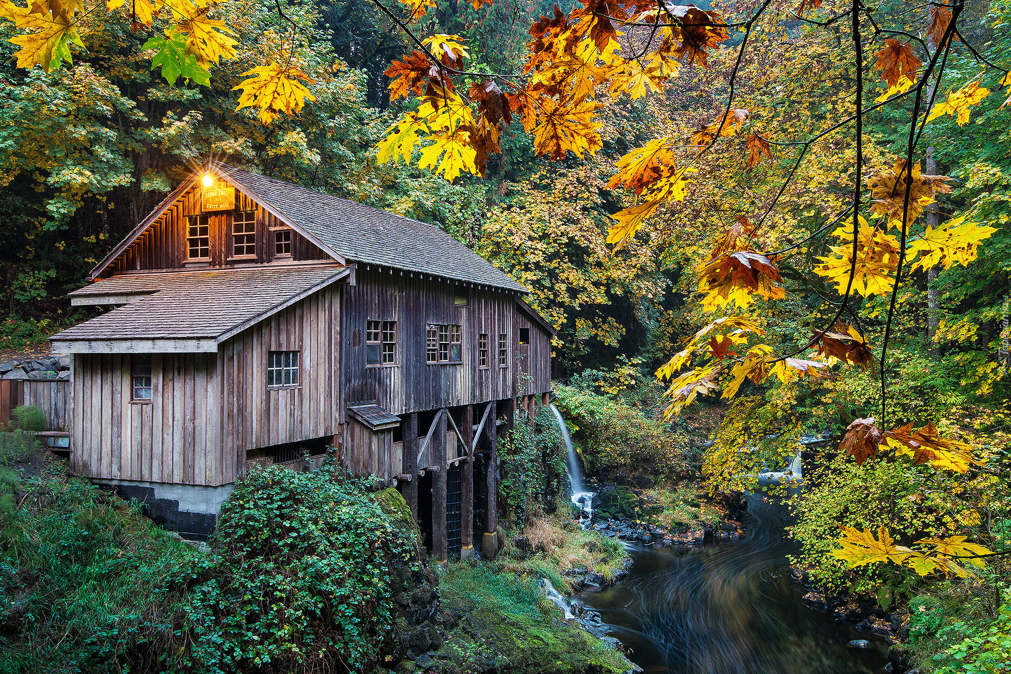 Młyn Cedar Creek Grist Mill, Rzeka, Drzewa, Las, Woodland, Stan Waszyngton, Stany Zjednoczone