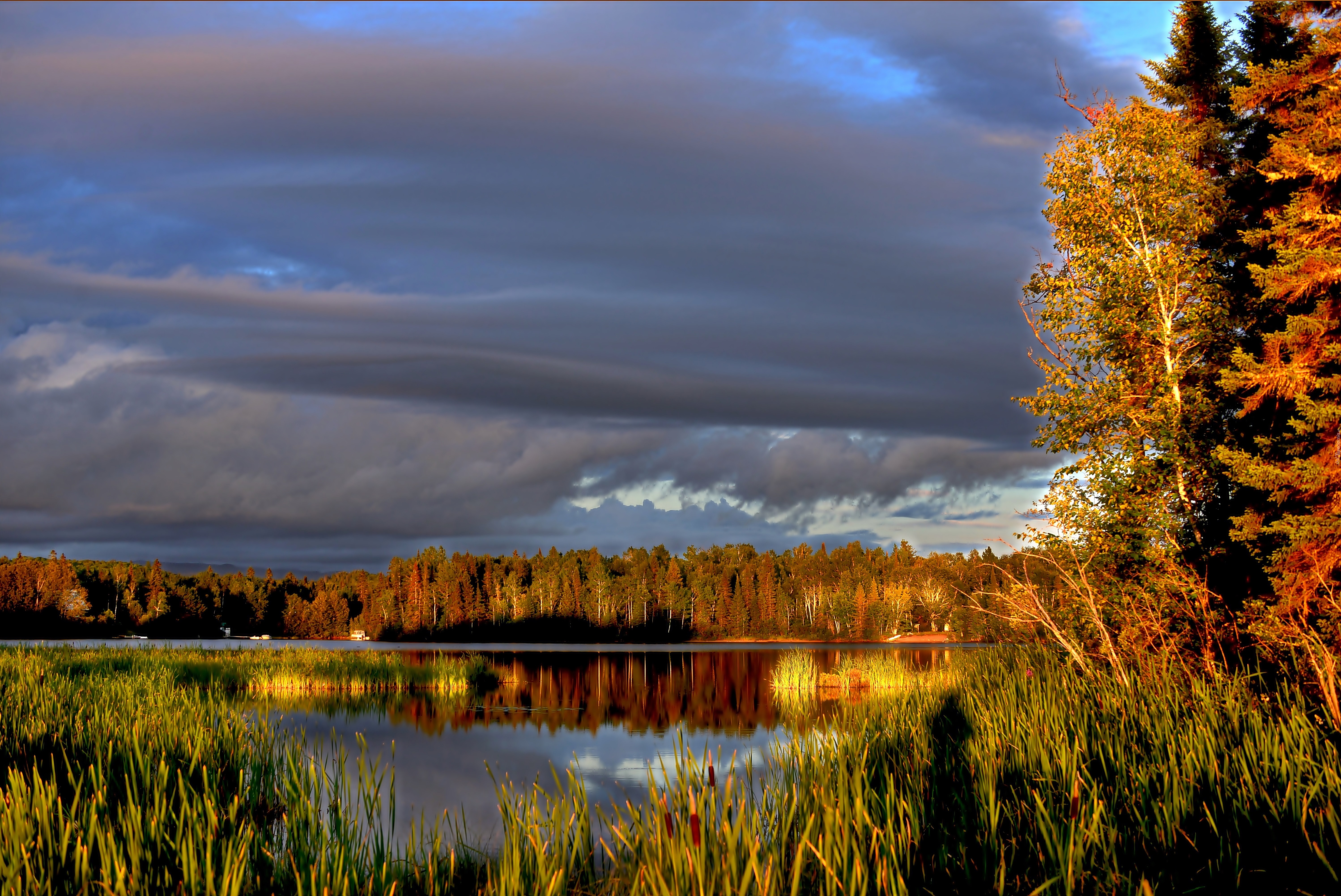 Jezioro, Odbicie, Chmury, Jesień, Drzewa