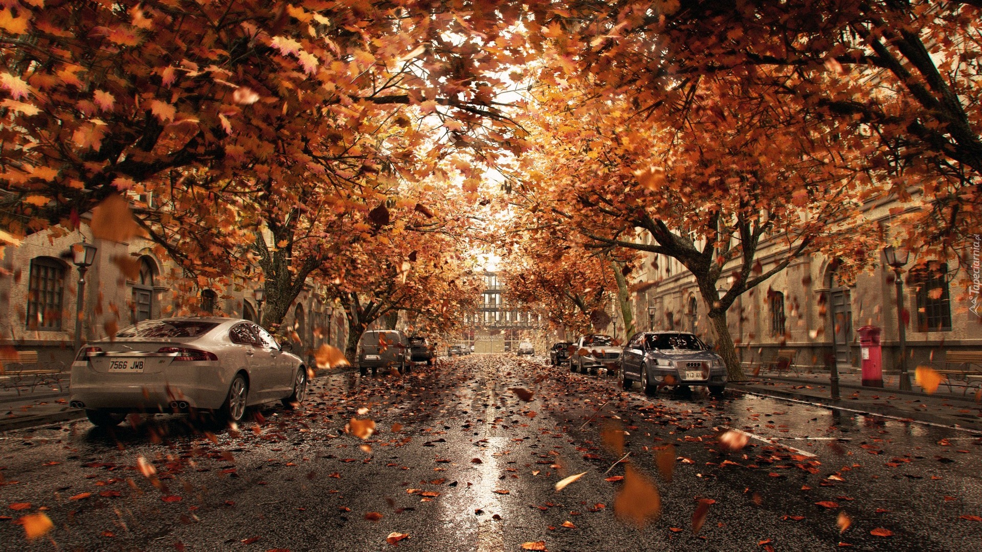 Jesień, Deszcz, Droga, Ulica, Samochody, Drzewa, Liście