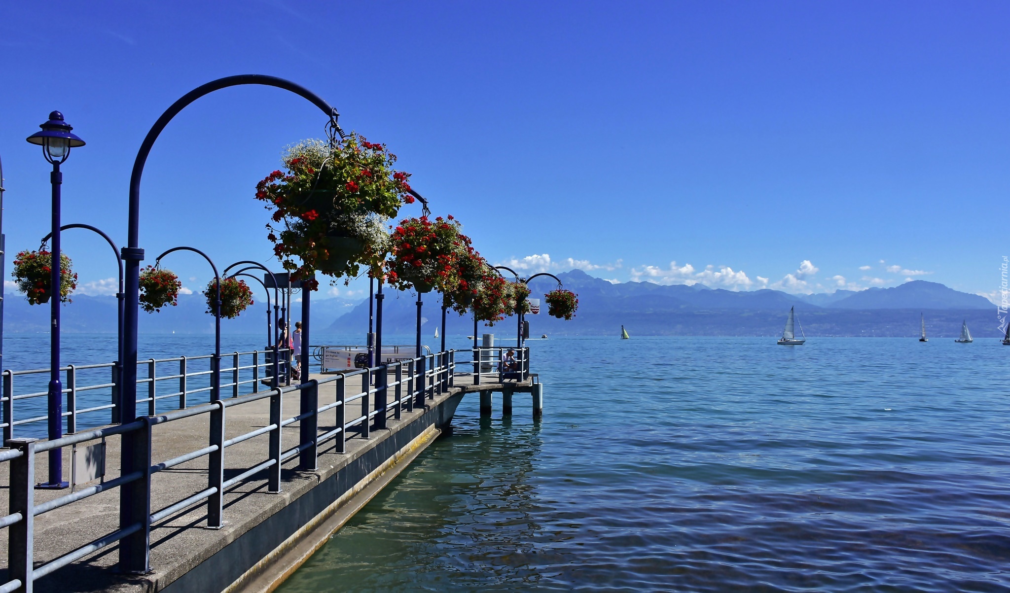 Szwajcaria, Jezioro, Pomost, Kwiaty