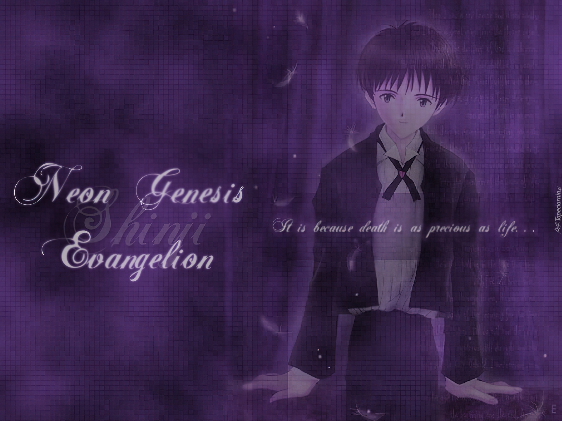 Neon Genesis Evangelion, postać, napisy