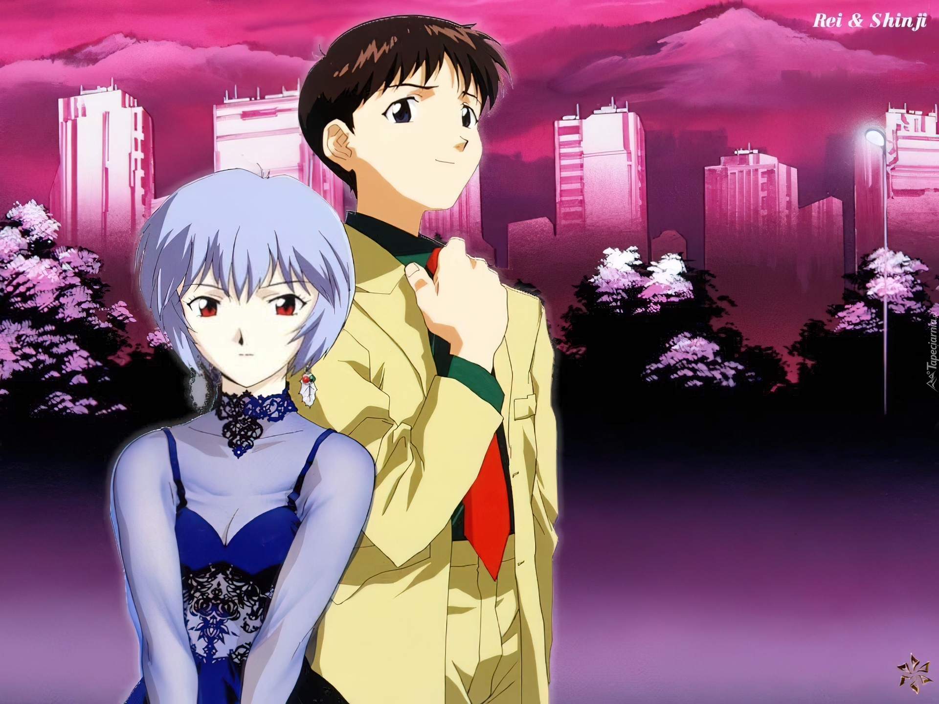 Neon Genesis Evangelion, ludzie, miasto