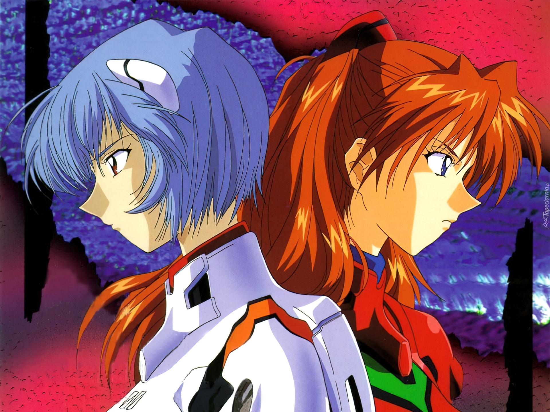 Neon Genesis Evangelion, przyjaciółki, kobiety