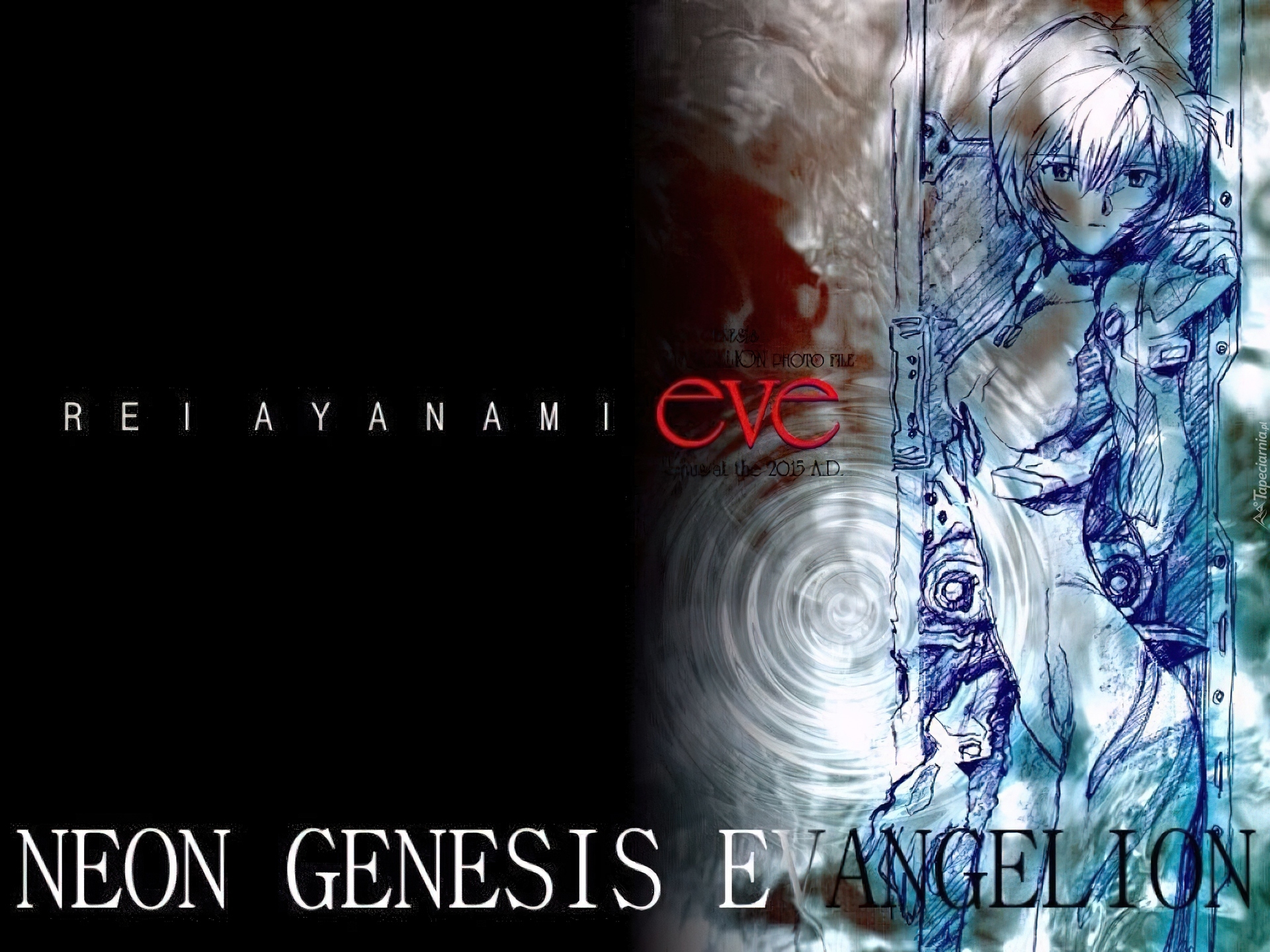 Neon Genesis Evangelion, postać, napis