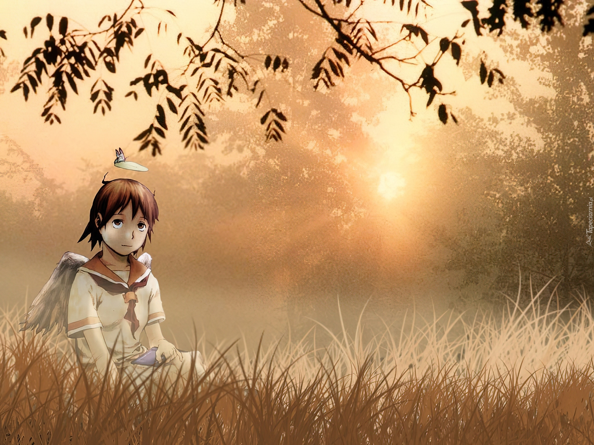 Haibane Renmei, człowiek, polana