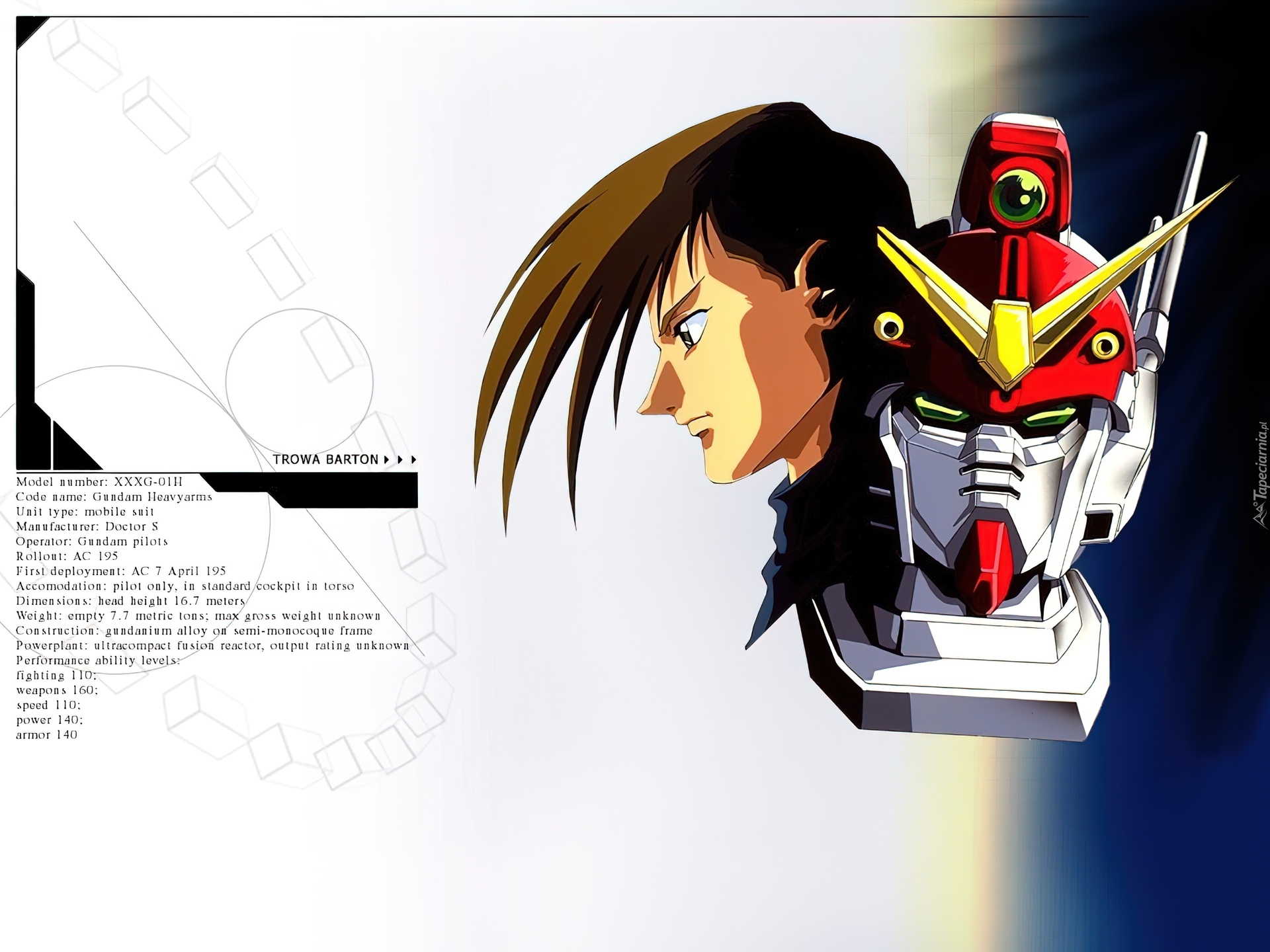 Gundam Wing, maska, twarz