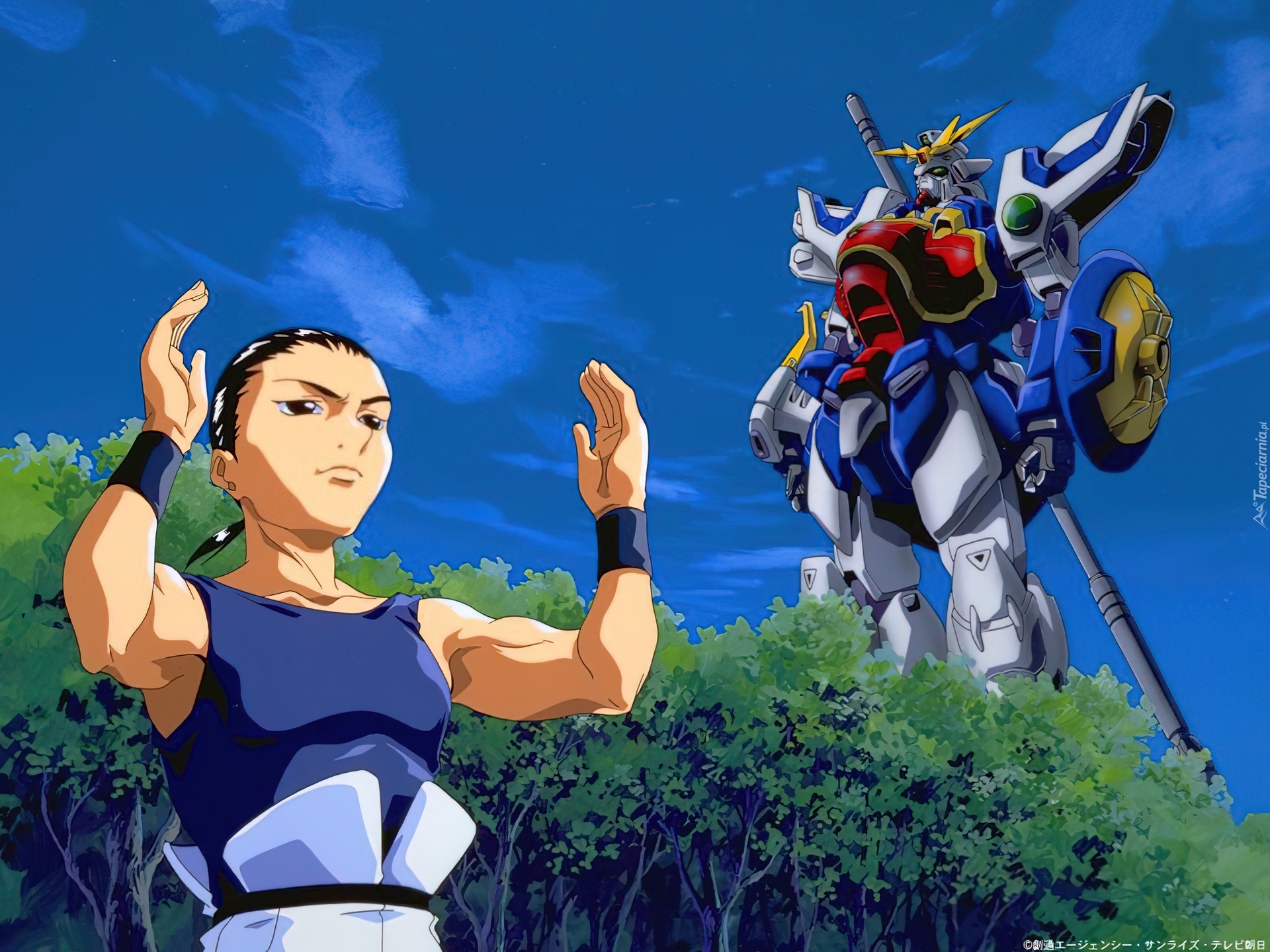 Gundam Wing, robot, kobieta, człowiek, las