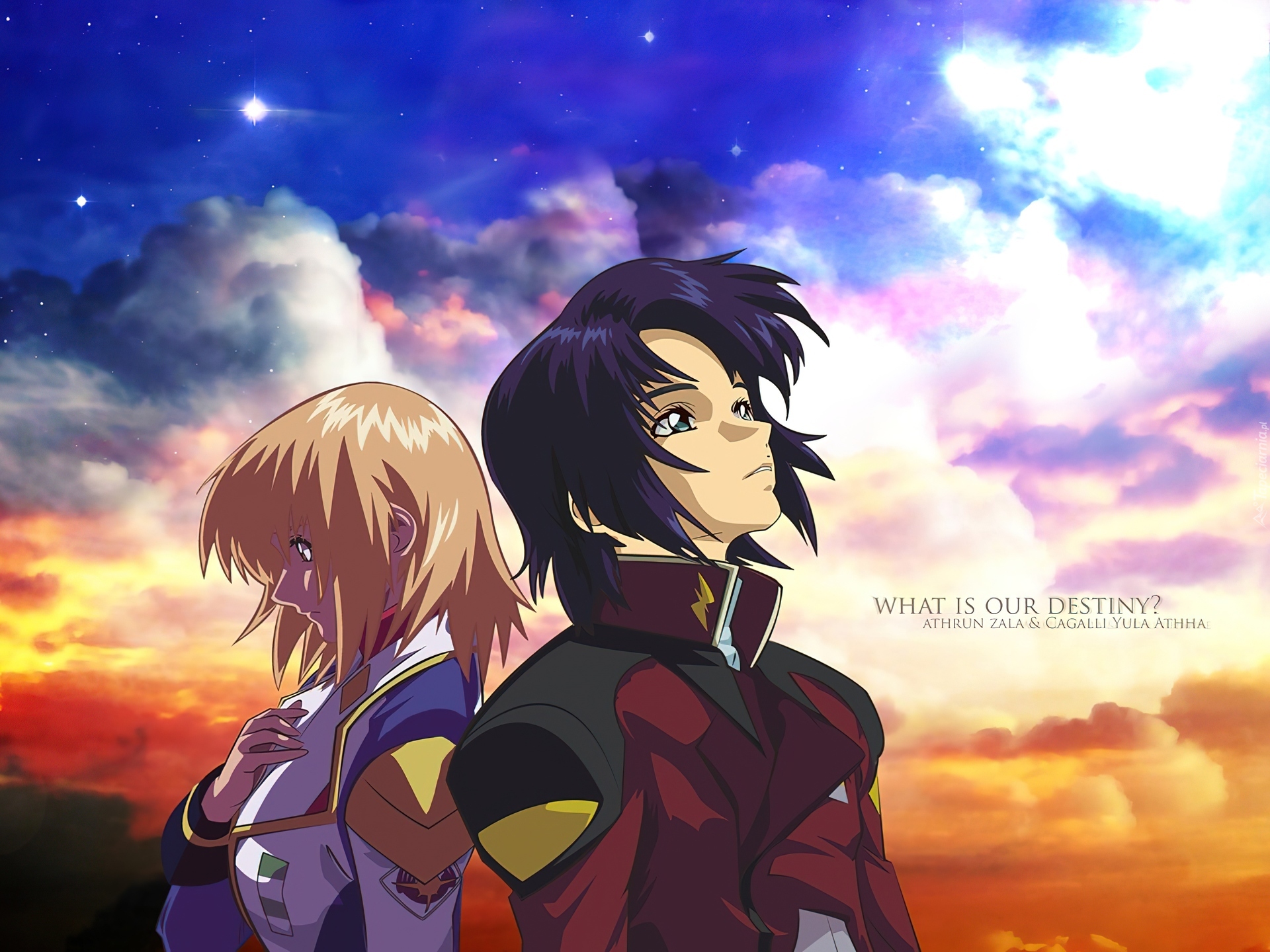 Gundam Seed, ludzie, chmury