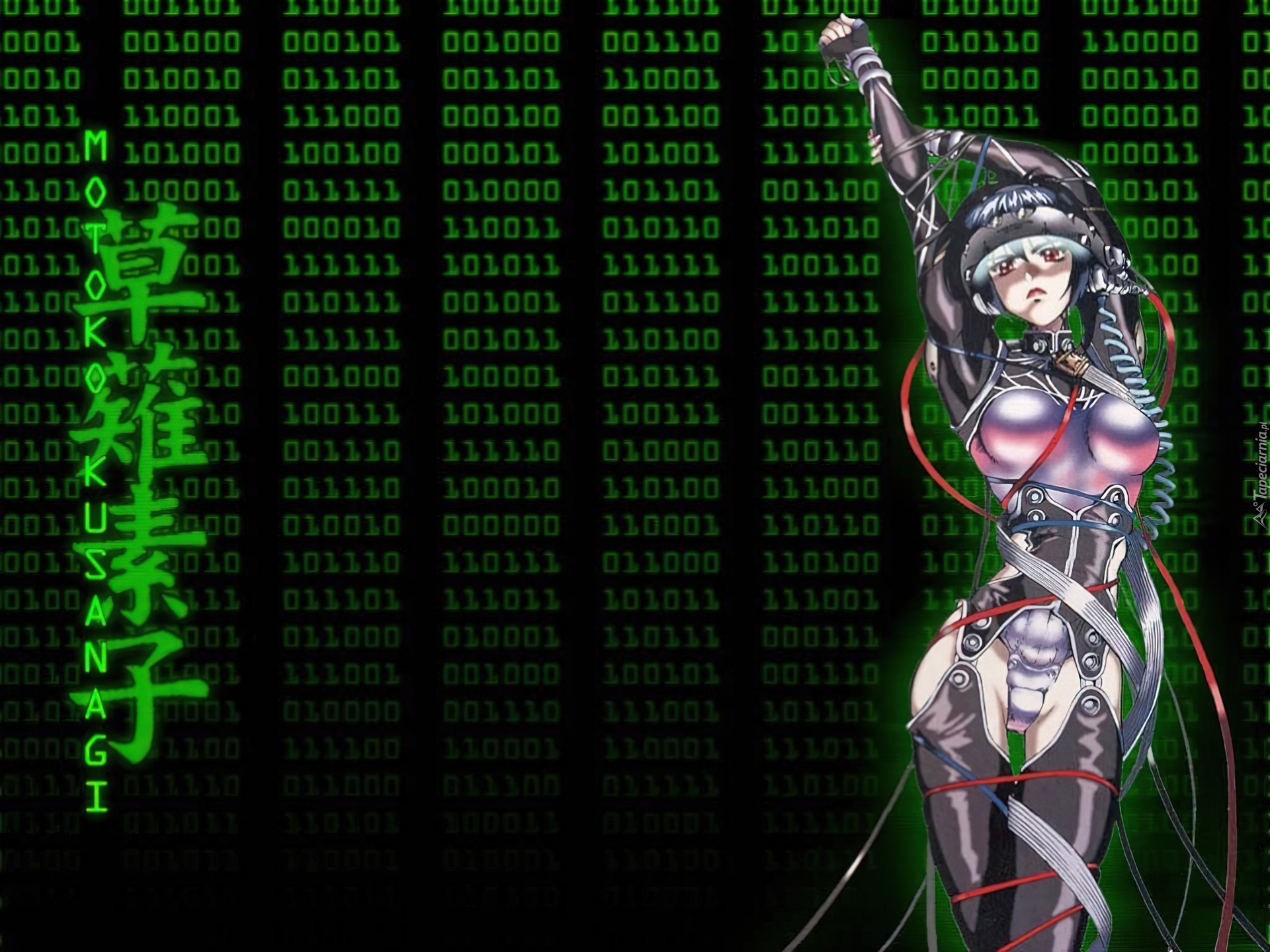 Ghost In The Shell, napisy, kod, kobieta, strój