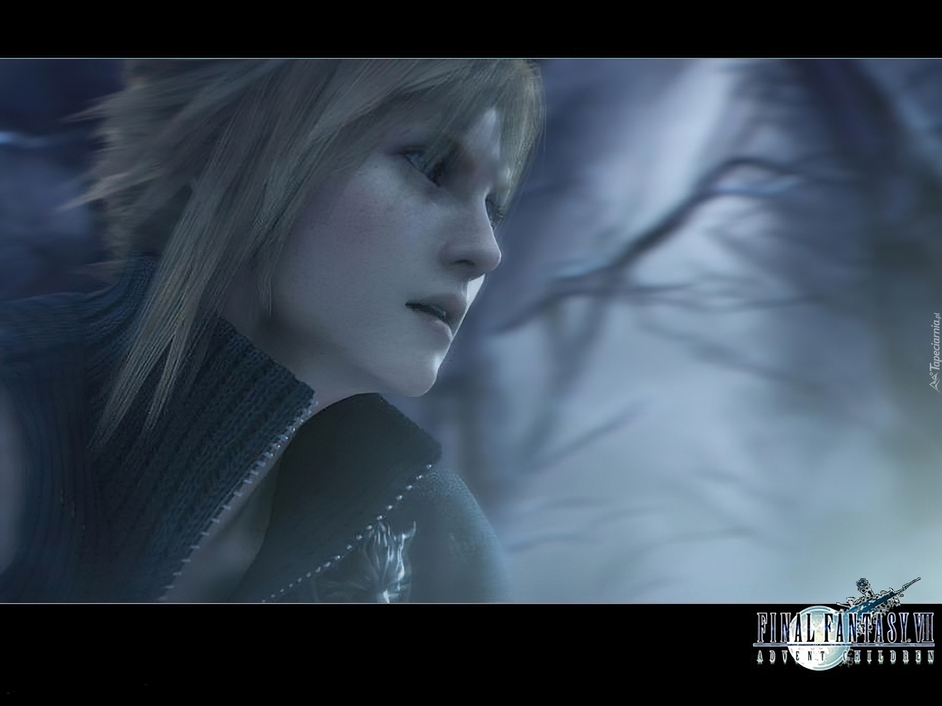 Ff 7 Advent Children, postać, zmierzch