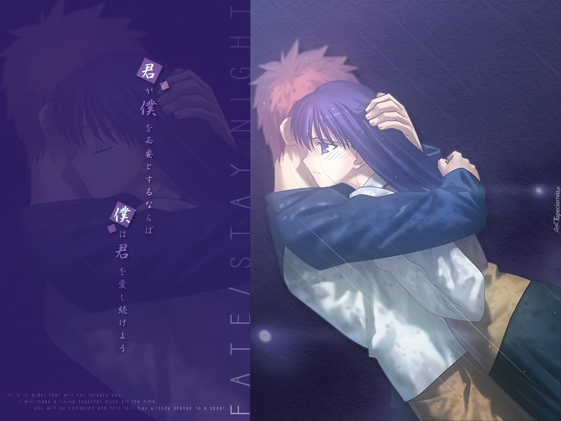 Fate Stay Night, para