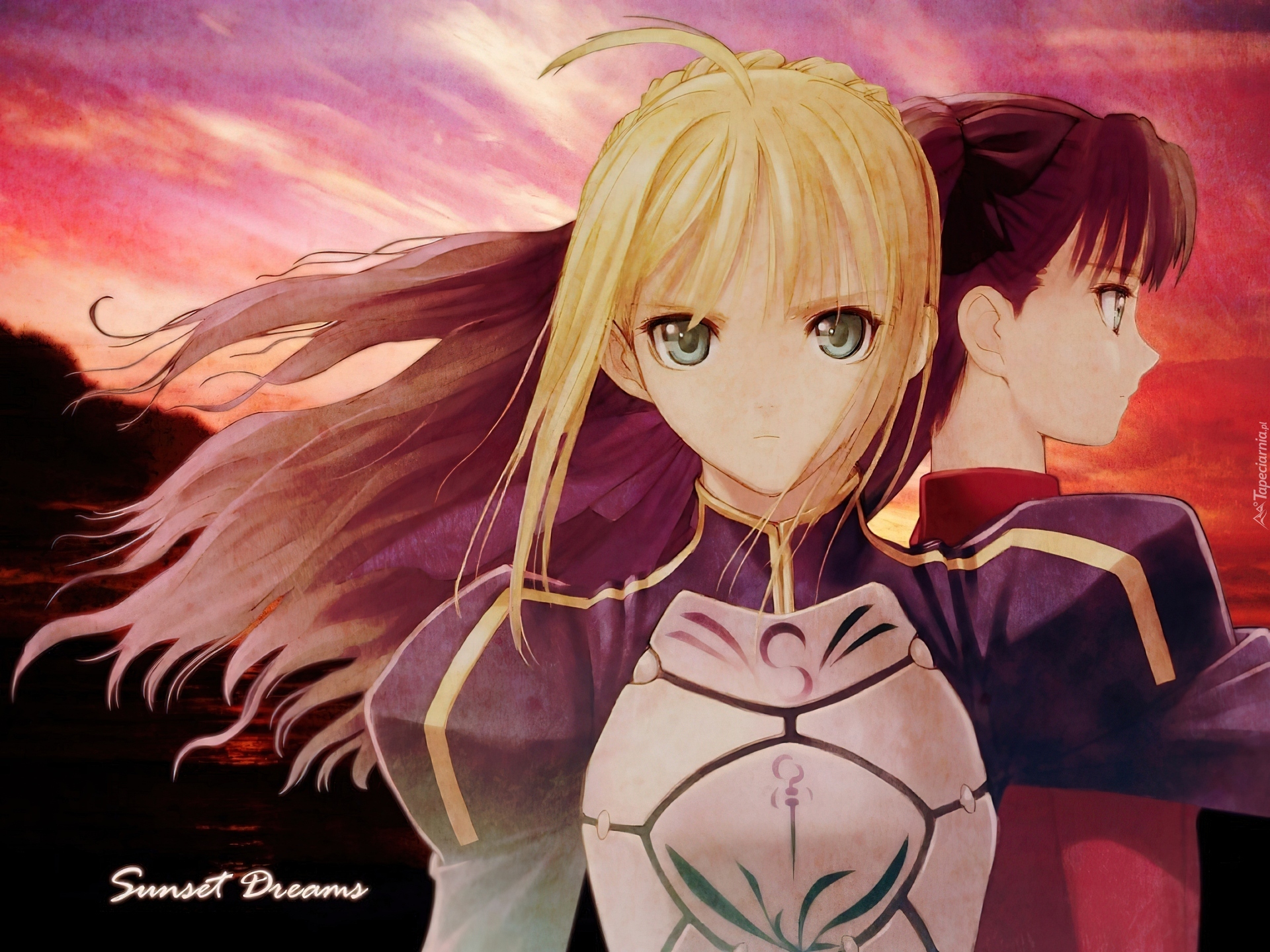 Fate Stay Night, dziewczyny