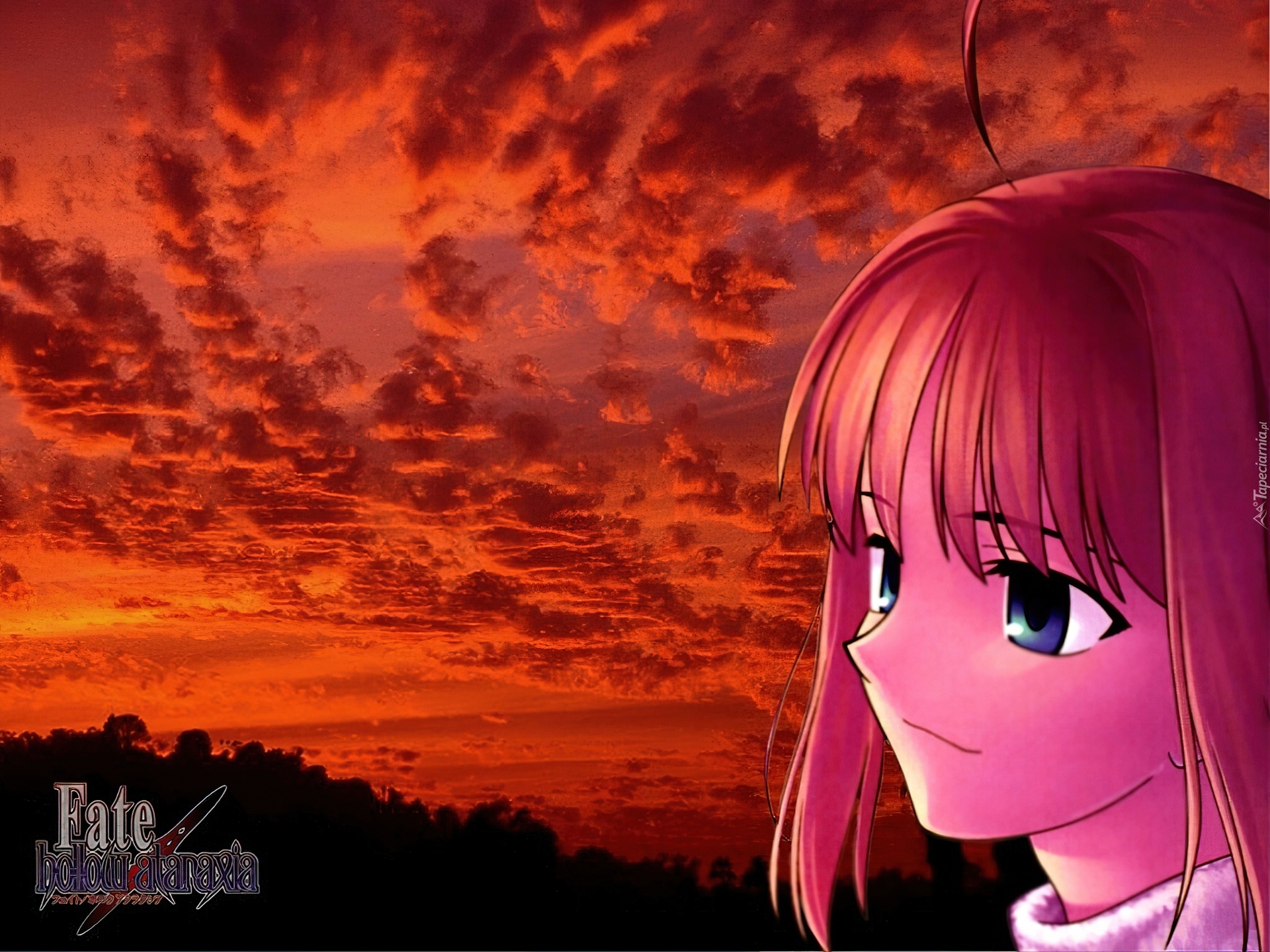 Fate Stay Night, twarz, zachód, logo, napisy