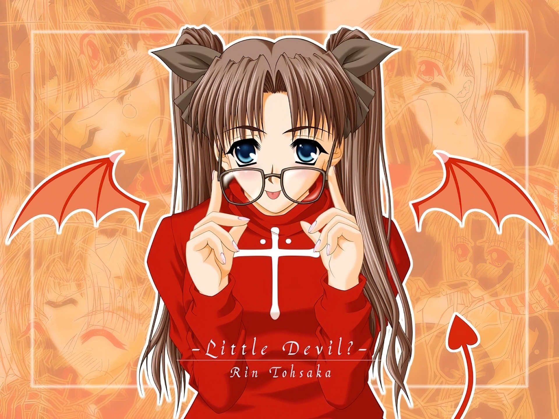 Okulary, Fate Stay Night