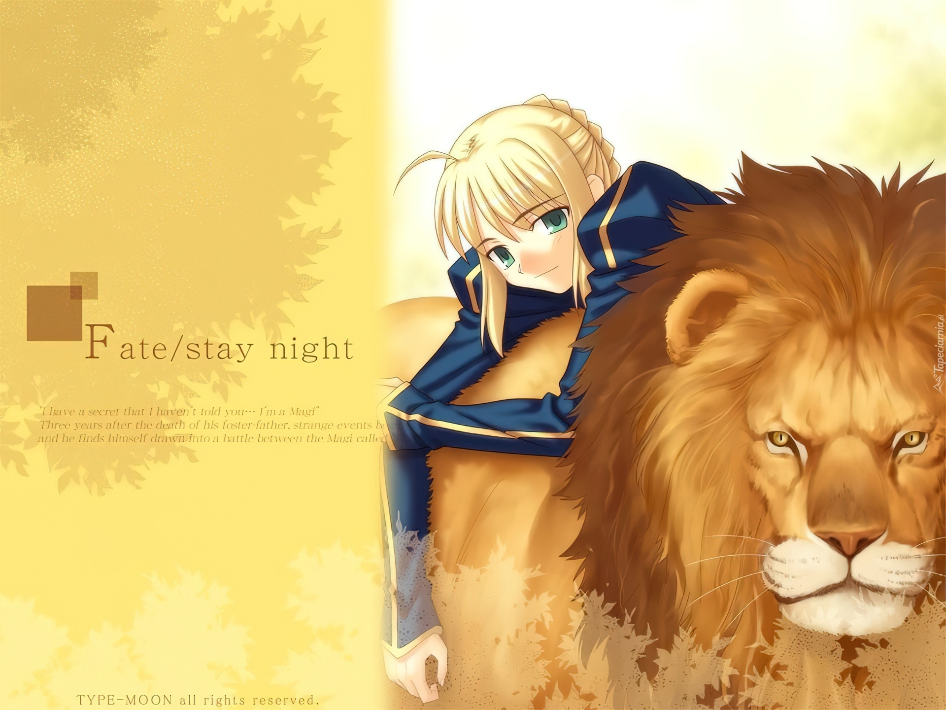 lew, kobieta, Fate Stay Night