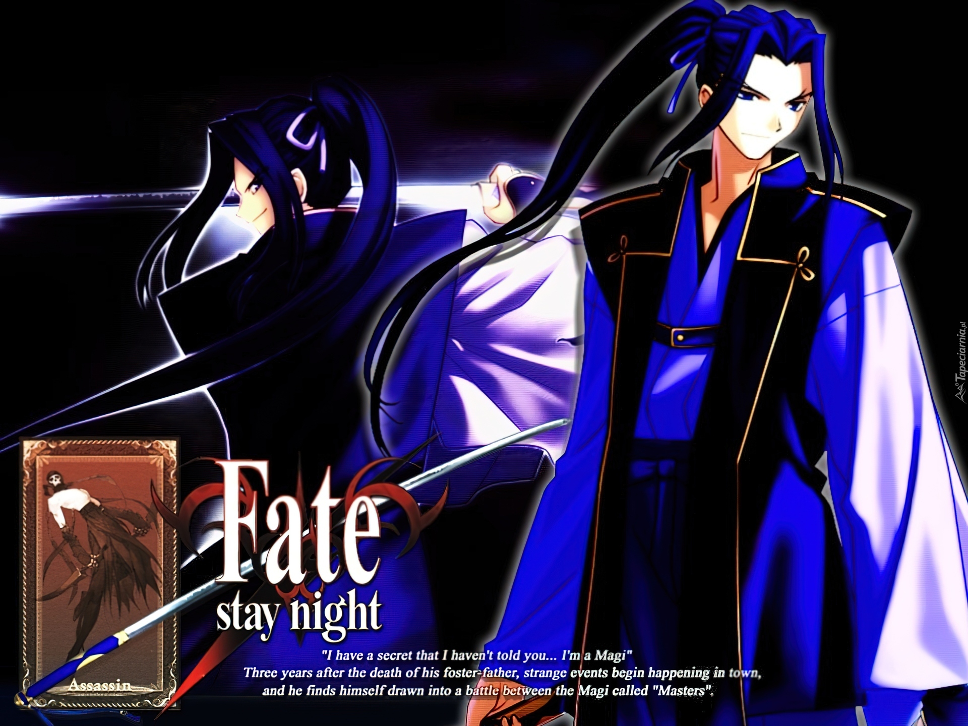 Fate Stay Night, postacie, wojownik, miecz, facet, logo