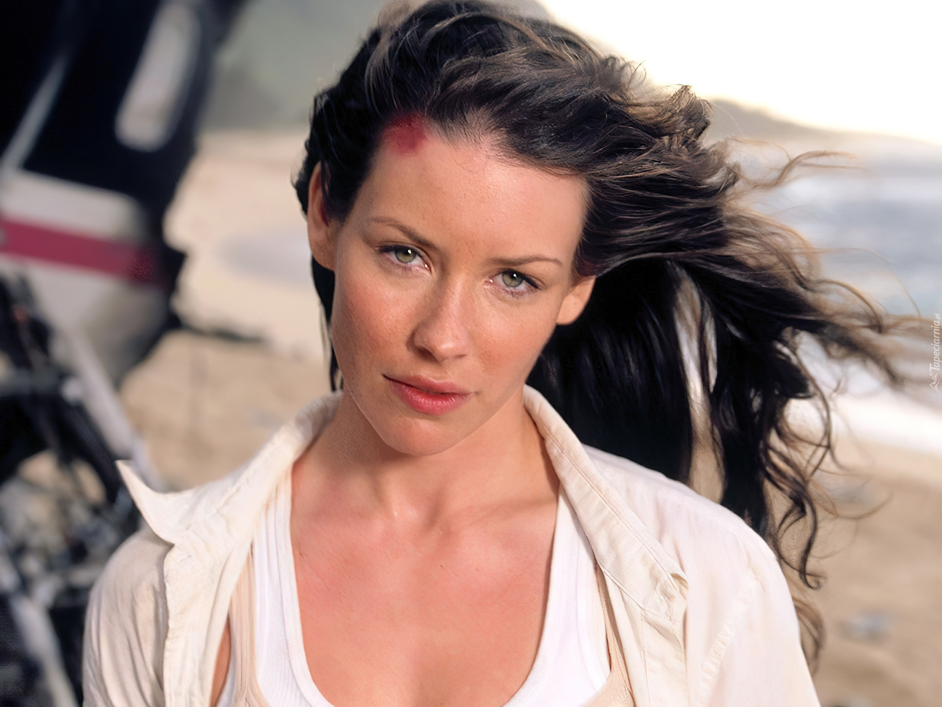 Serial, Zagubieni, Lost, Evangeline Lilly