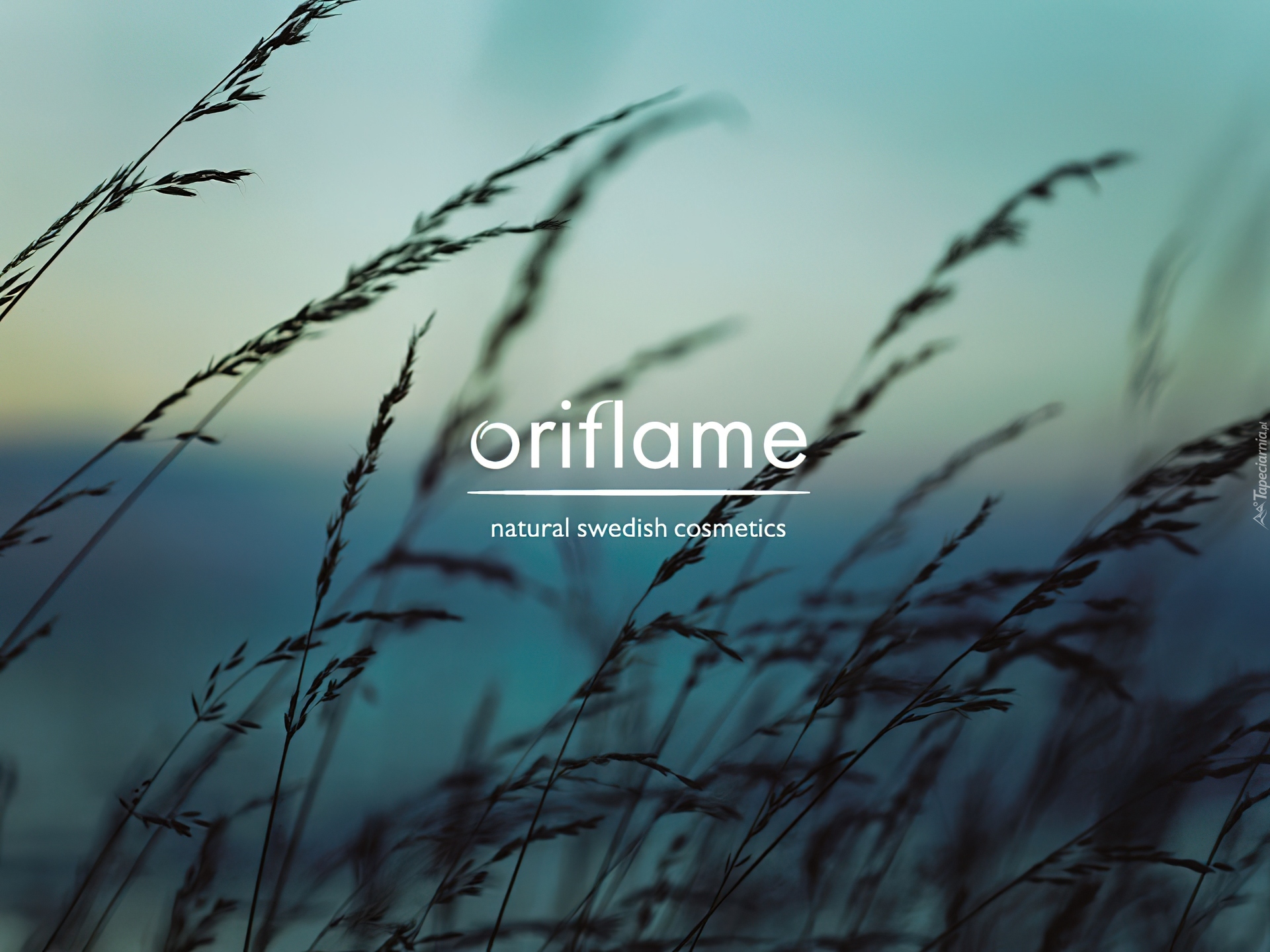 Oriflame, trawy