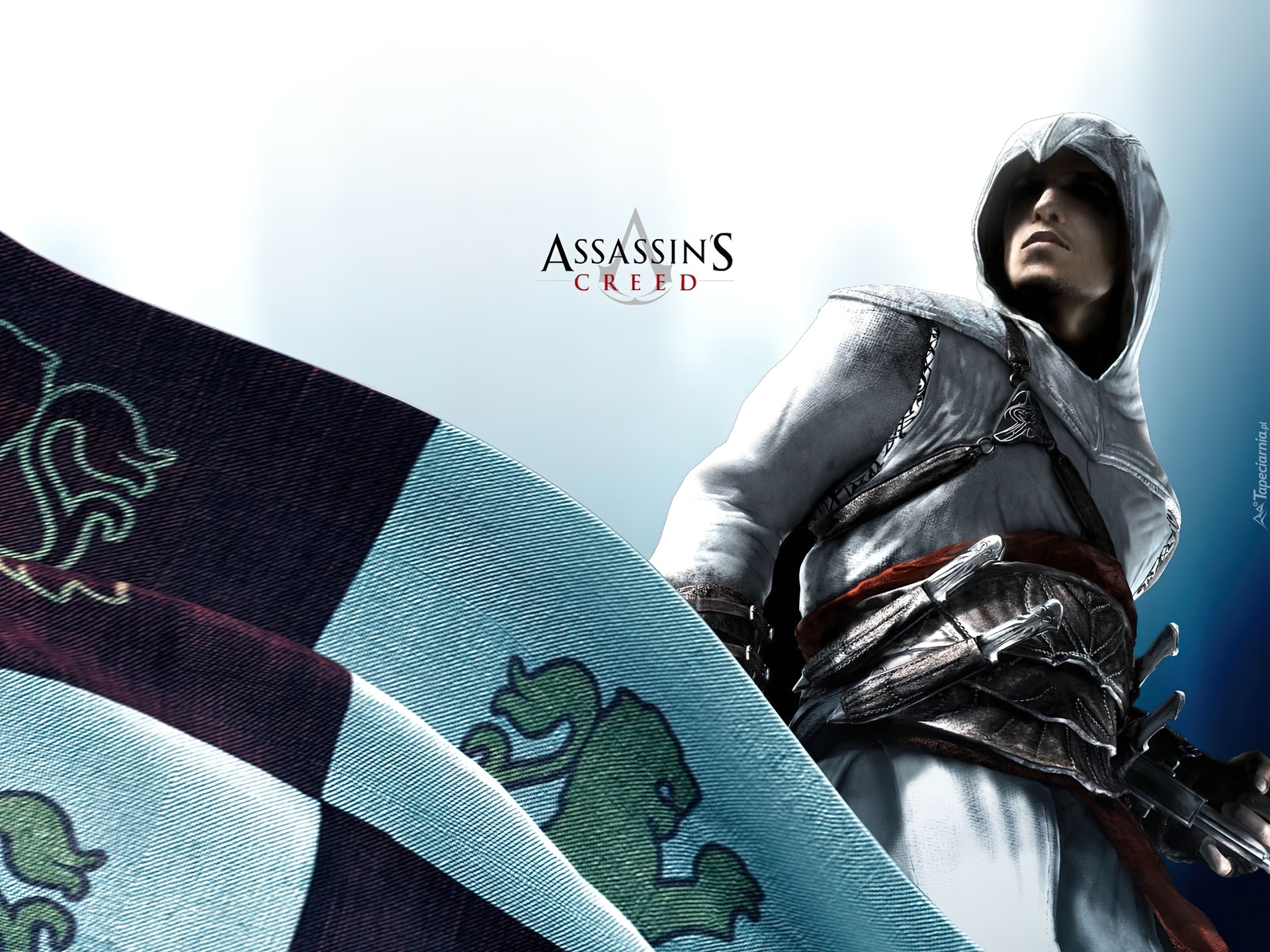 Assassins Creed, Flaga