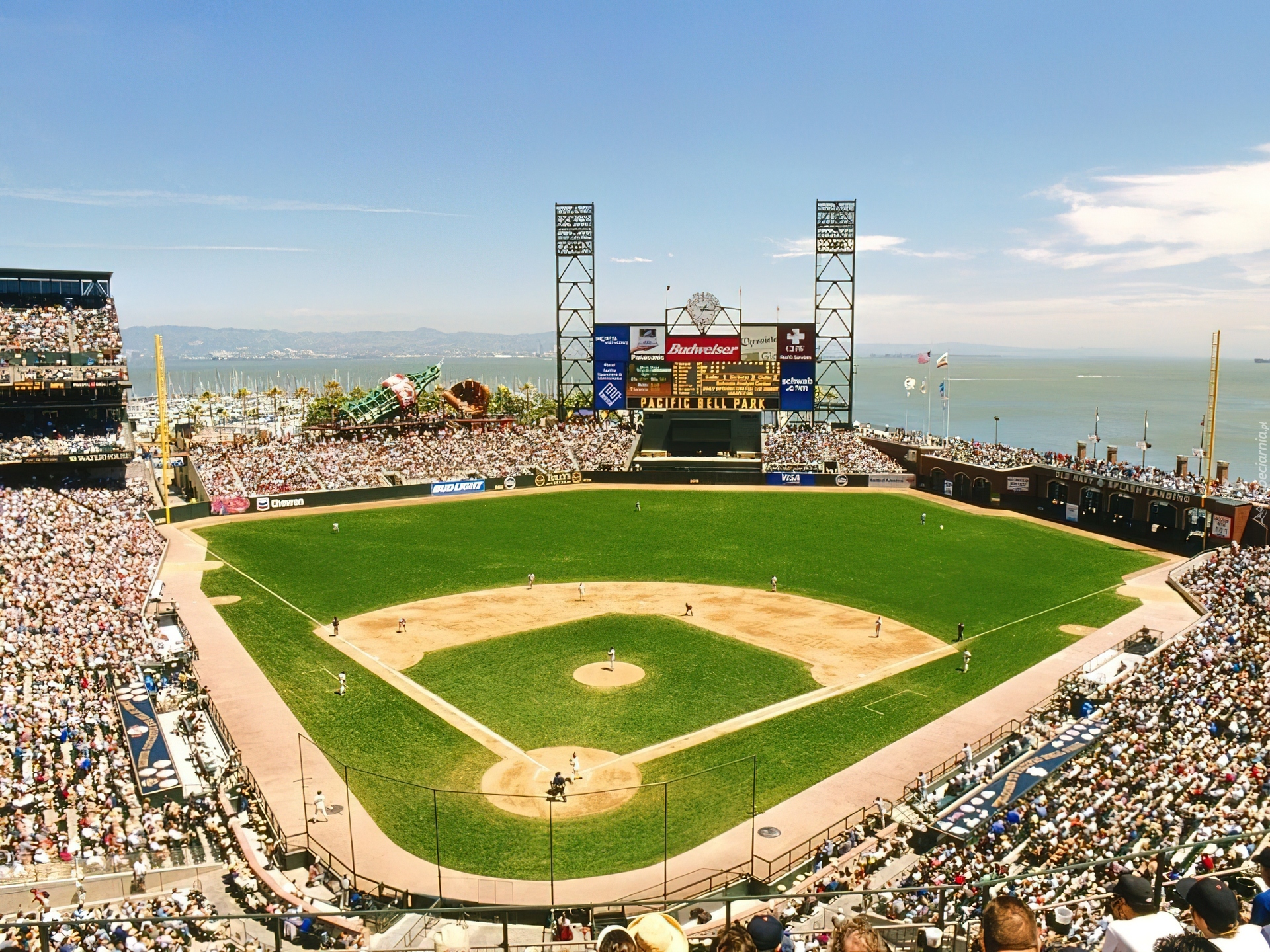 Baseball, Stadion