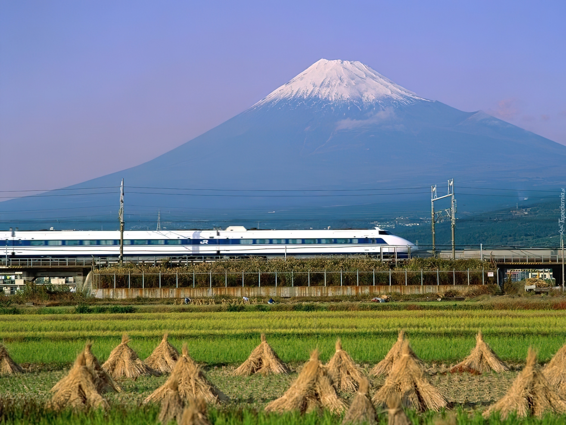 Pociąg Elektryczny, Shinkansen