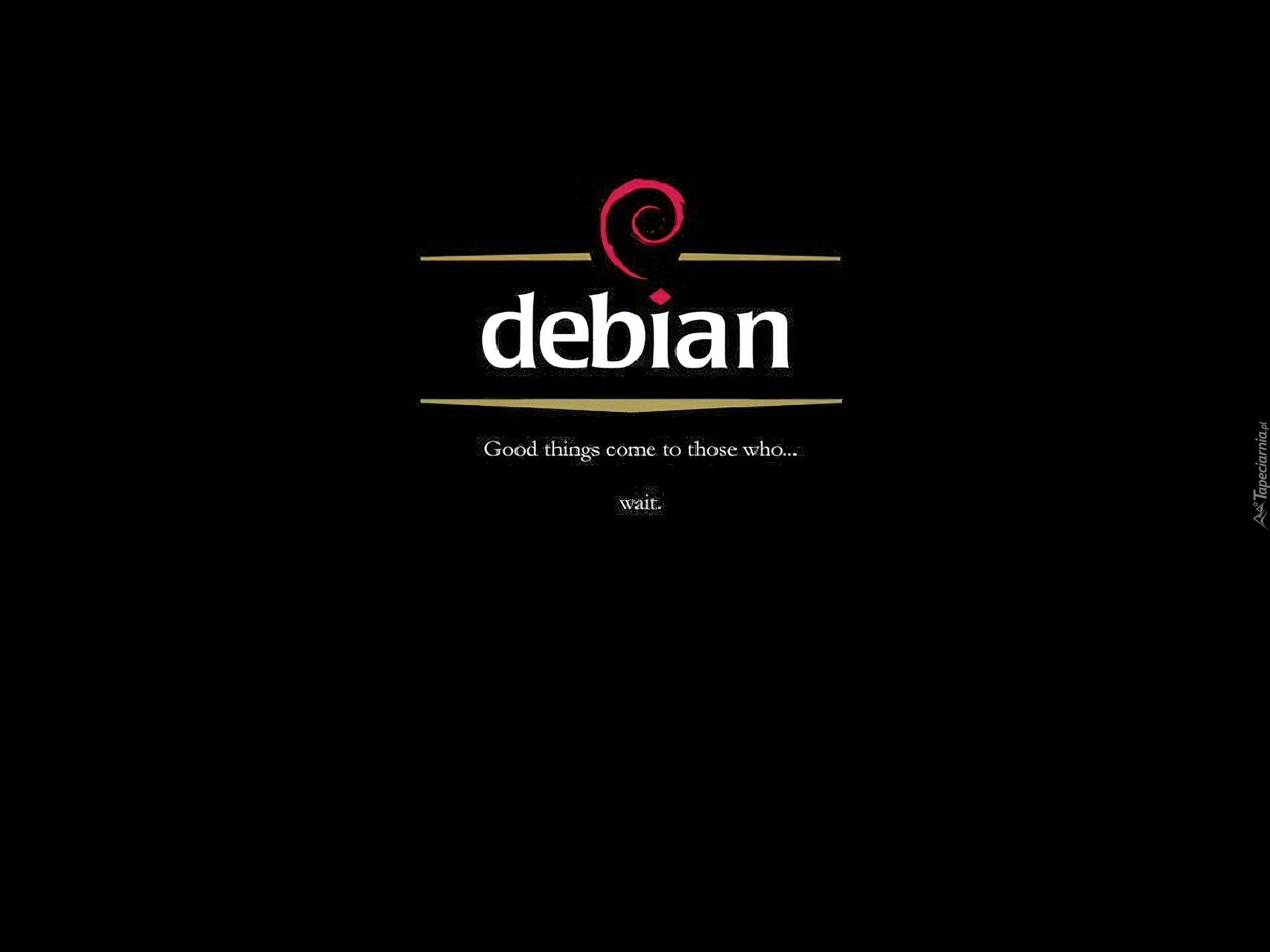 Linux Debian, ślimak, grafika, muszla, zawijas