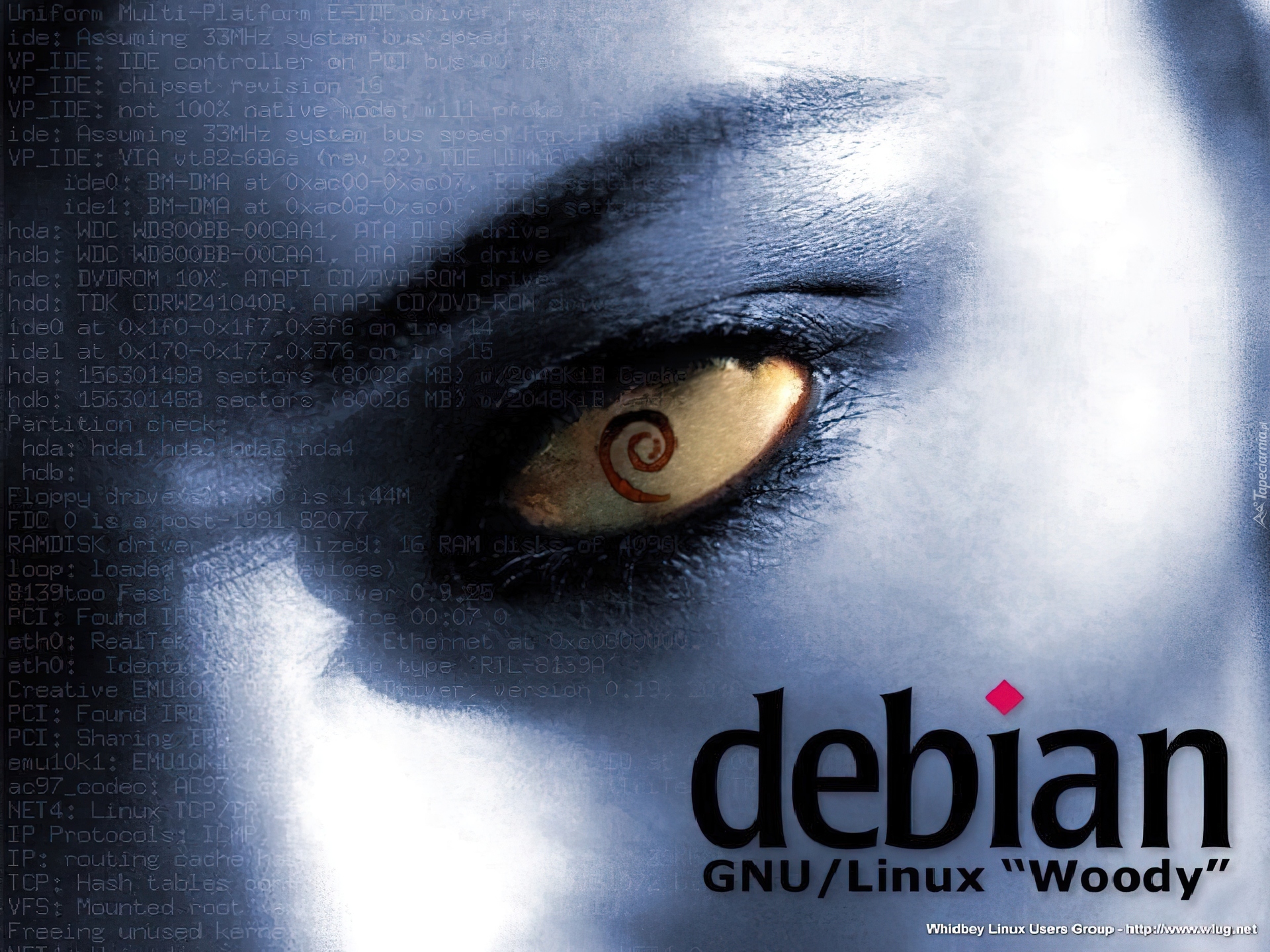 grafika, muszla, ślimak, zawijas, Linux Debian, oko, rzęsy