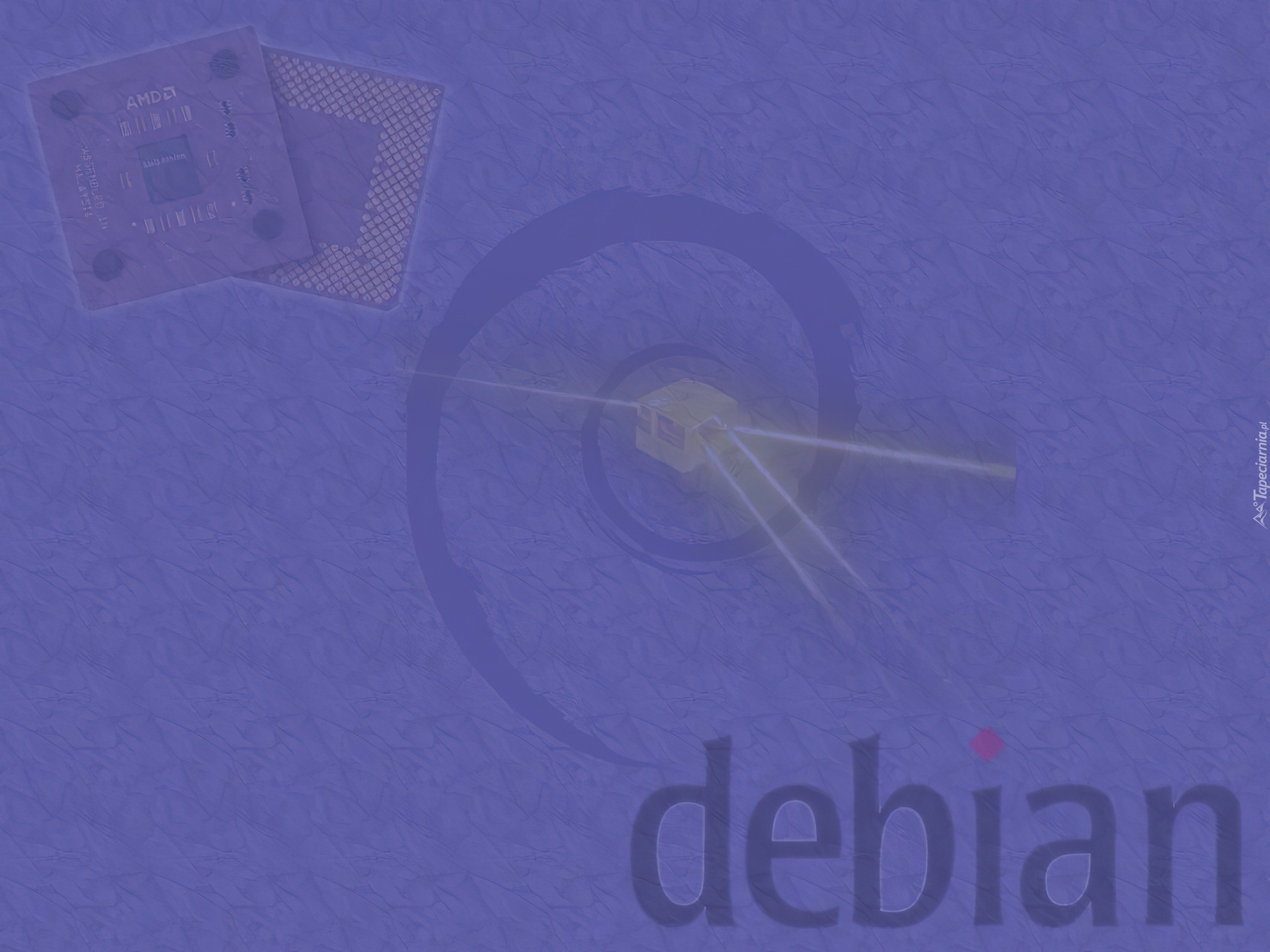 Linux Debian, grafika, muszla, ślimak, zawijas