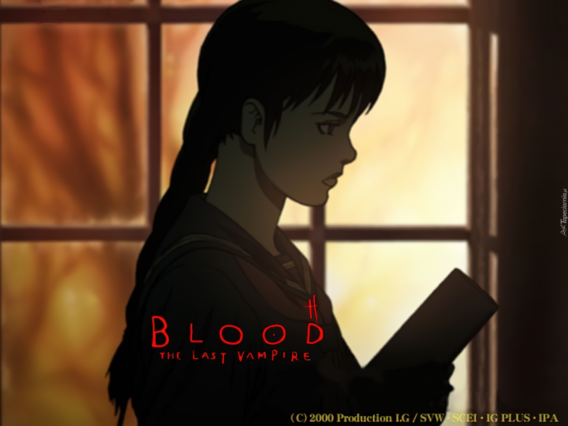 Blood The Last Vampire, postać, zamyslenie, napisy, okno