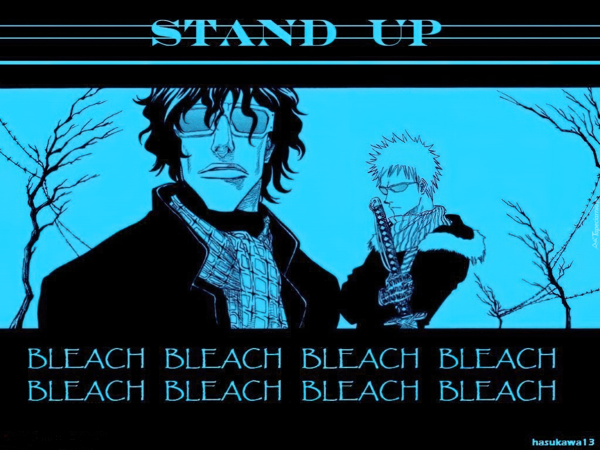 Bleach, stand up, postacie, miecz, napisy