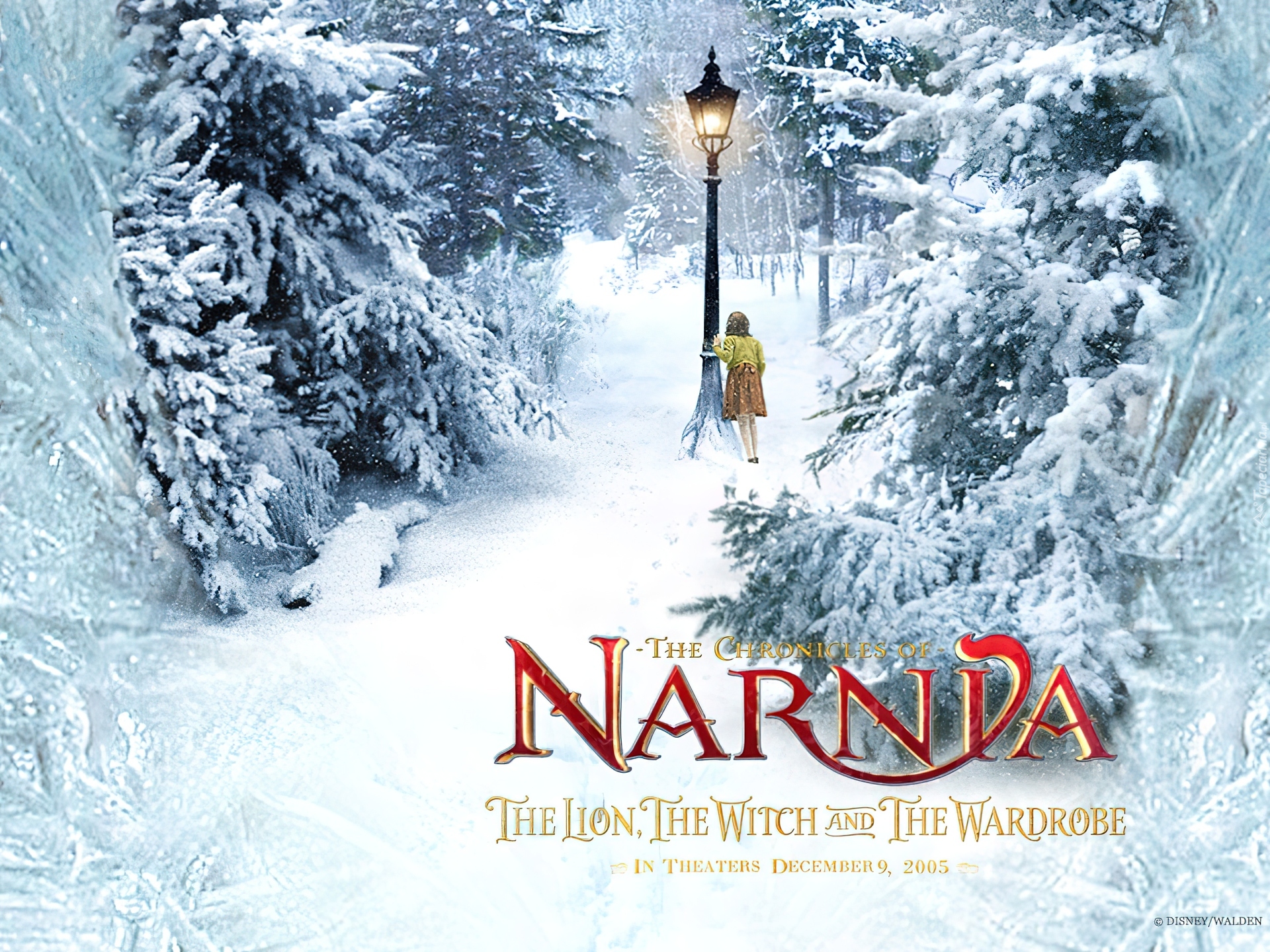 The Chronicles Of Narnia, latarnia, dziewczynka, choinki, zima, napis