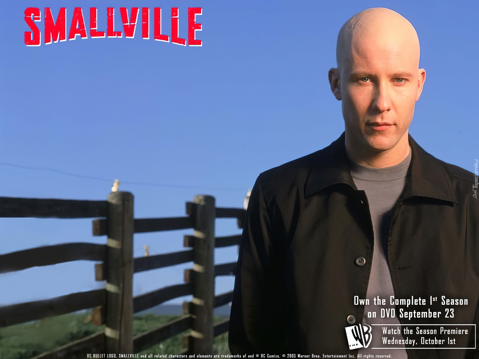 Tajemnice Smallville, Michael Rosenbaum, płot, łysy