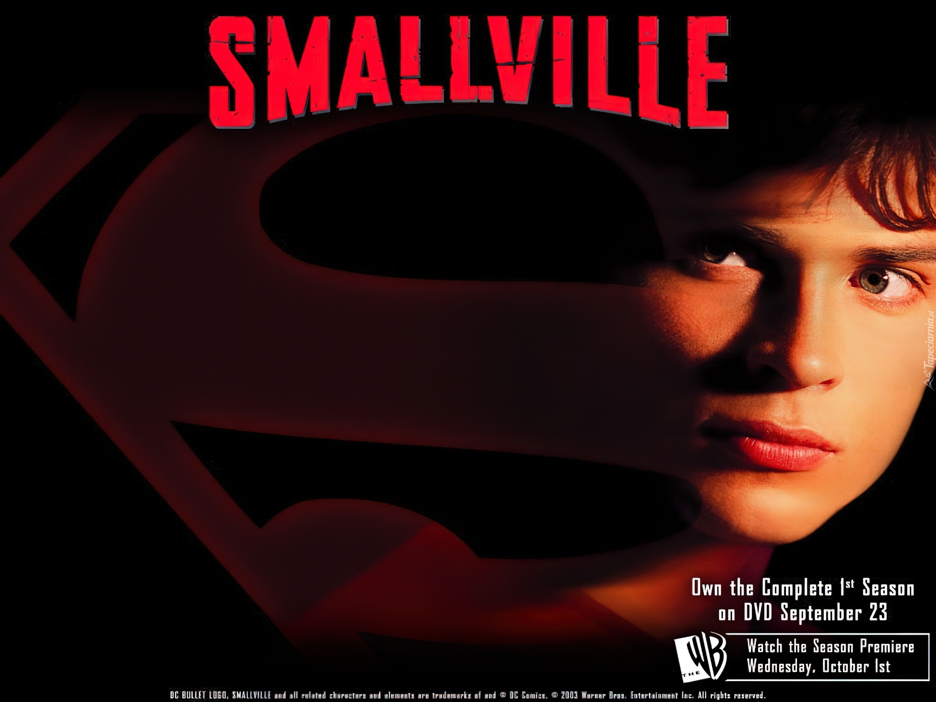 Tajemnice Smallville, Tom Welling, znak, twarz