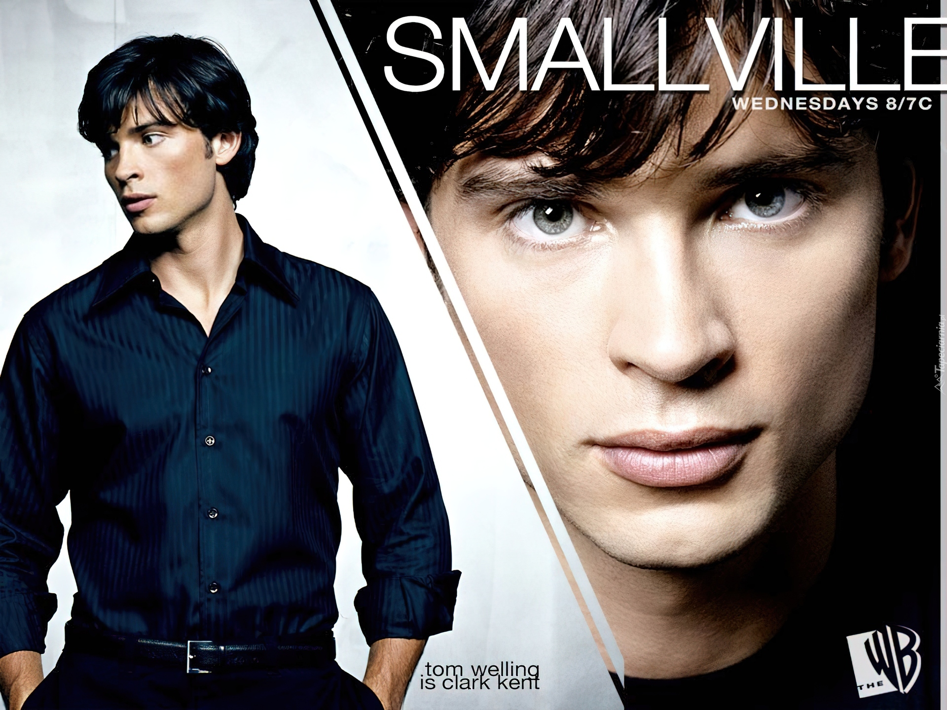 Tajemnice Smallville, Tom Welling, twarz, koszula, elegancki