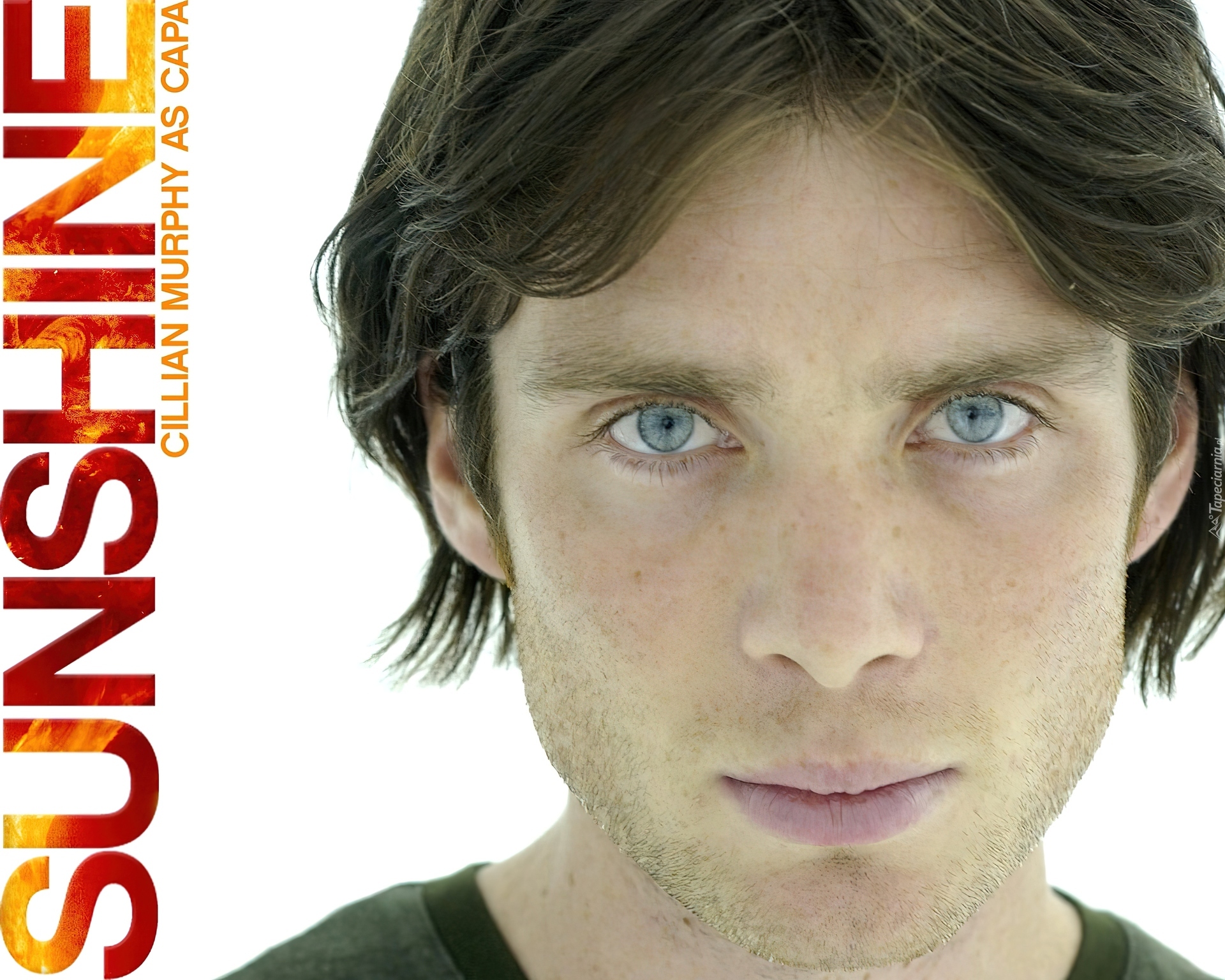 Sunshine, Cillian Murphy, twarz, oczy, napis