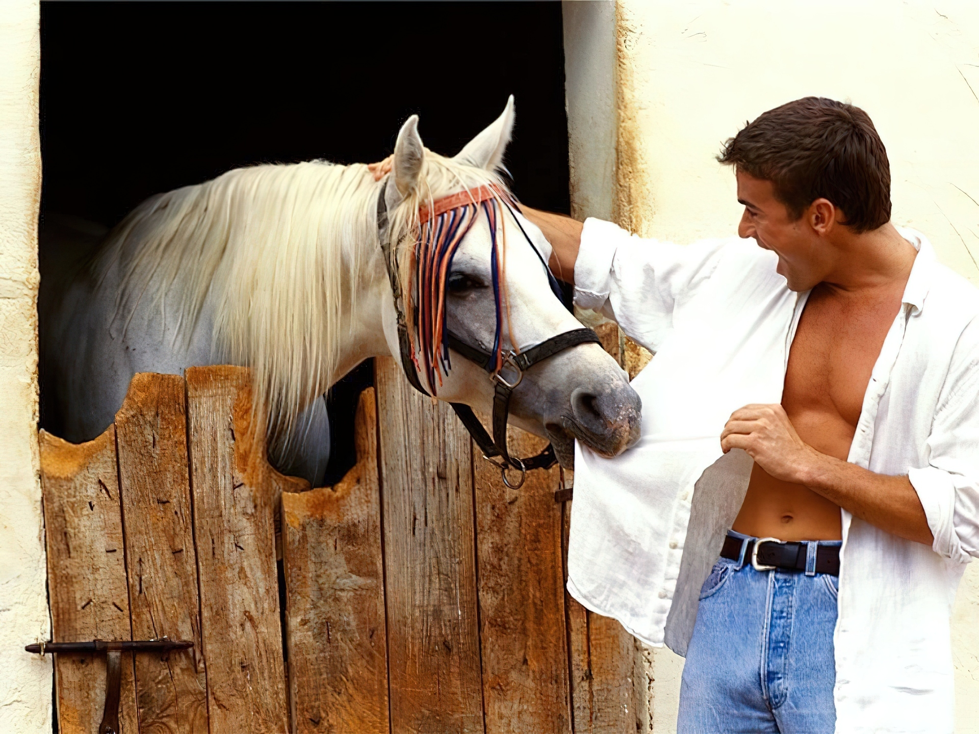 Мужчина бык и мужчина лошадь. Брэд Питт на коне. МУЖЧИНАМНА белом коне. Мужчина на лошади. Парень на коне.