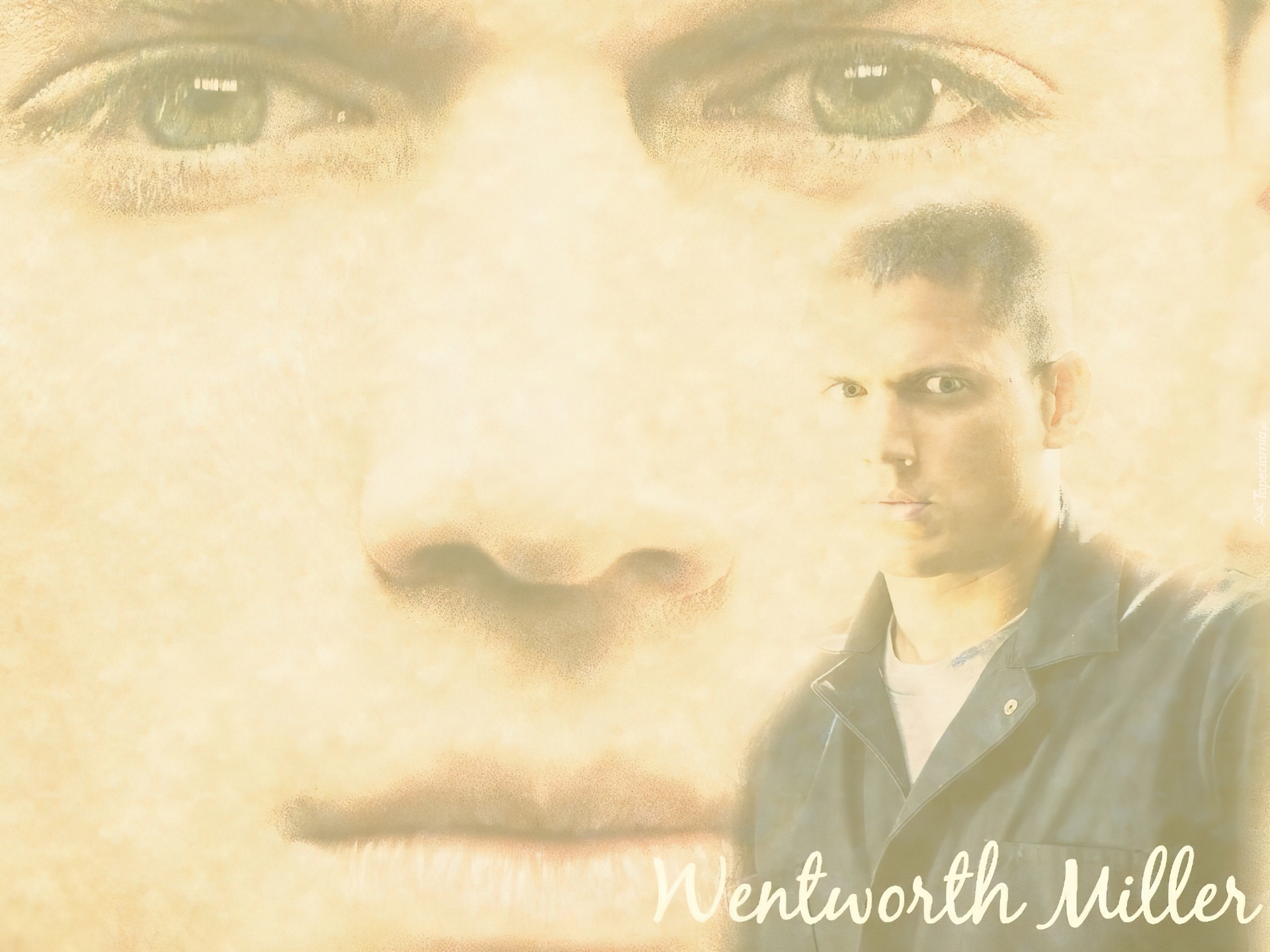 Prison Break, Skazany na śmierć, Wentworth Miller, twarz, oczy