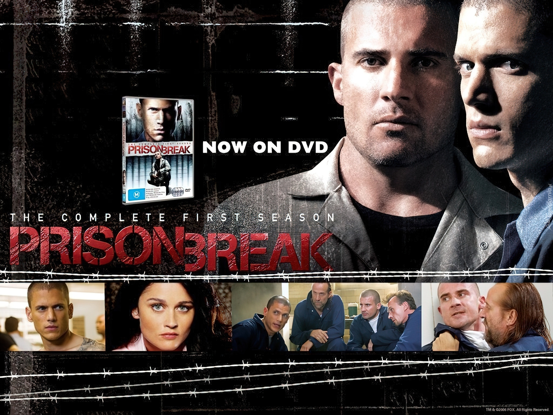 zdjęcia, Prison Break, Skazany na śmierć, Dominic Purcell, Wentworth Miller, Robin Tunney