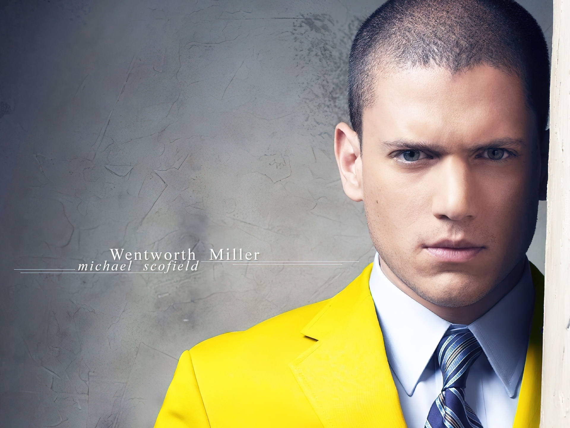 Prison Break, Skazany na śmierć, Wentworth Miller, żółta, marynarka