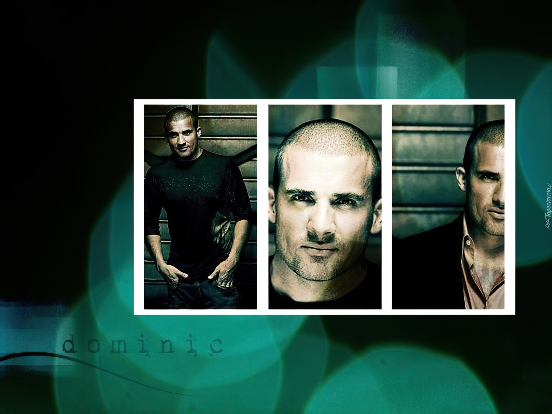 Prison Break, Skazany na śmierć, zdjęcia, Dominic Purcell