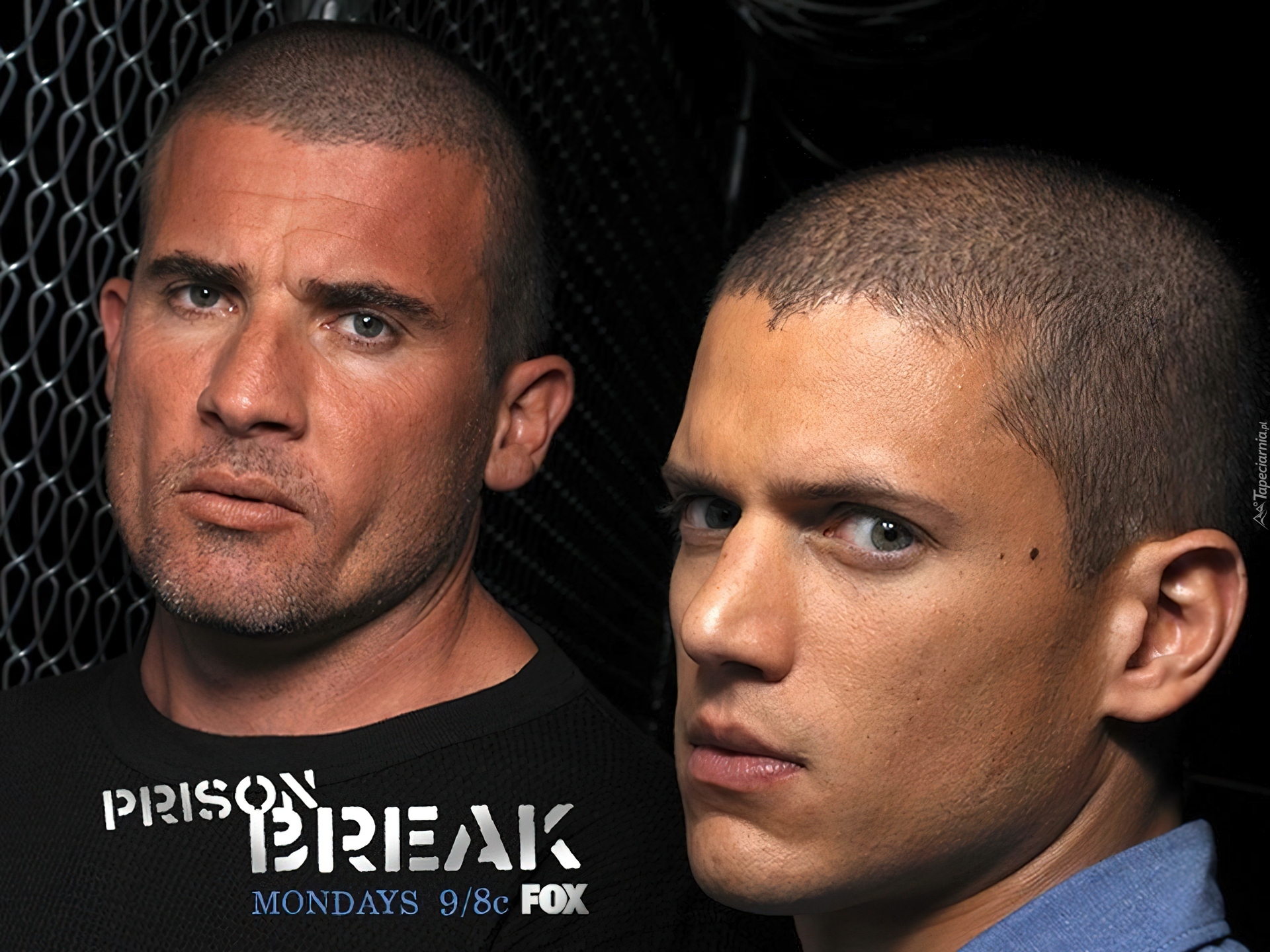 Prison Break, Skazany na śmierć, Dominic Purcell, Wentworth Miller