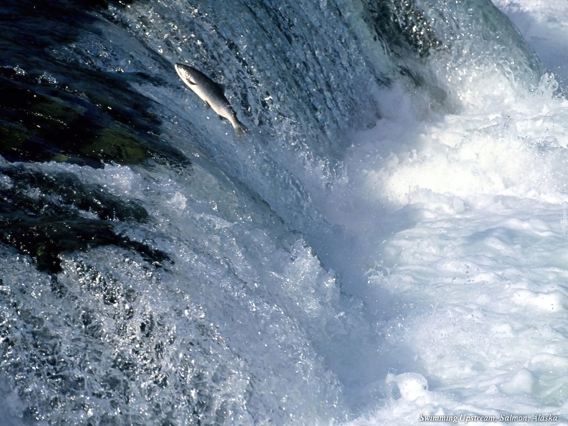 Линия течения воды